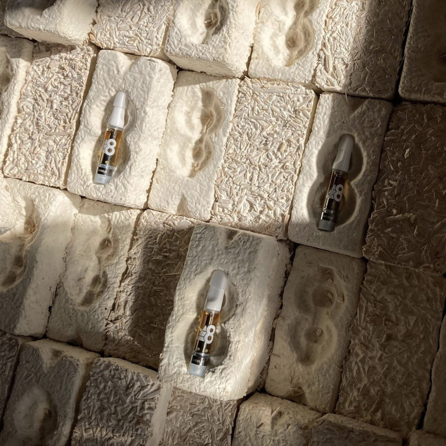 Screen Shot 2021-07-16 at 12.52.06 PM.png