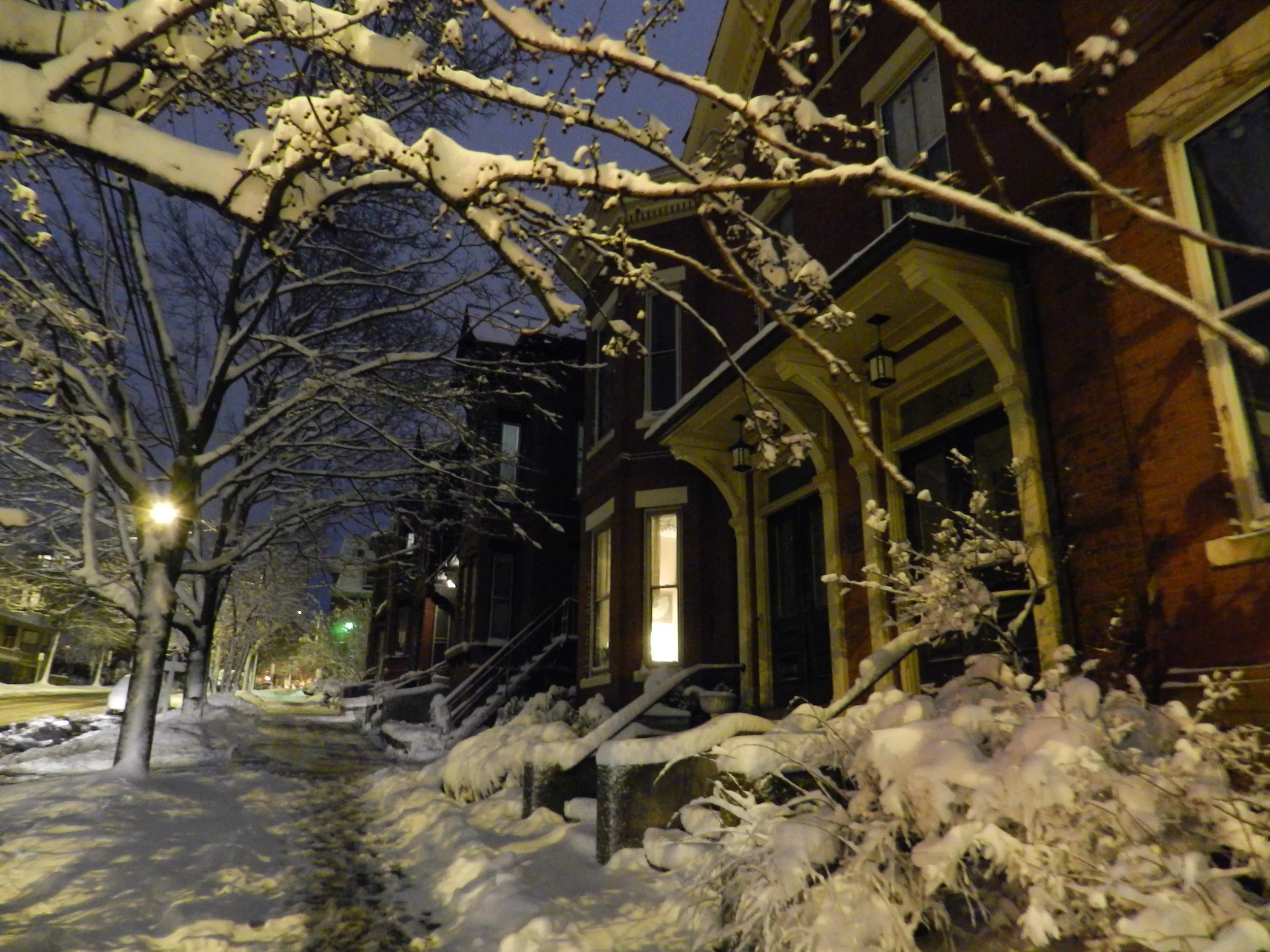 Portland Rambles: Snow Shadows