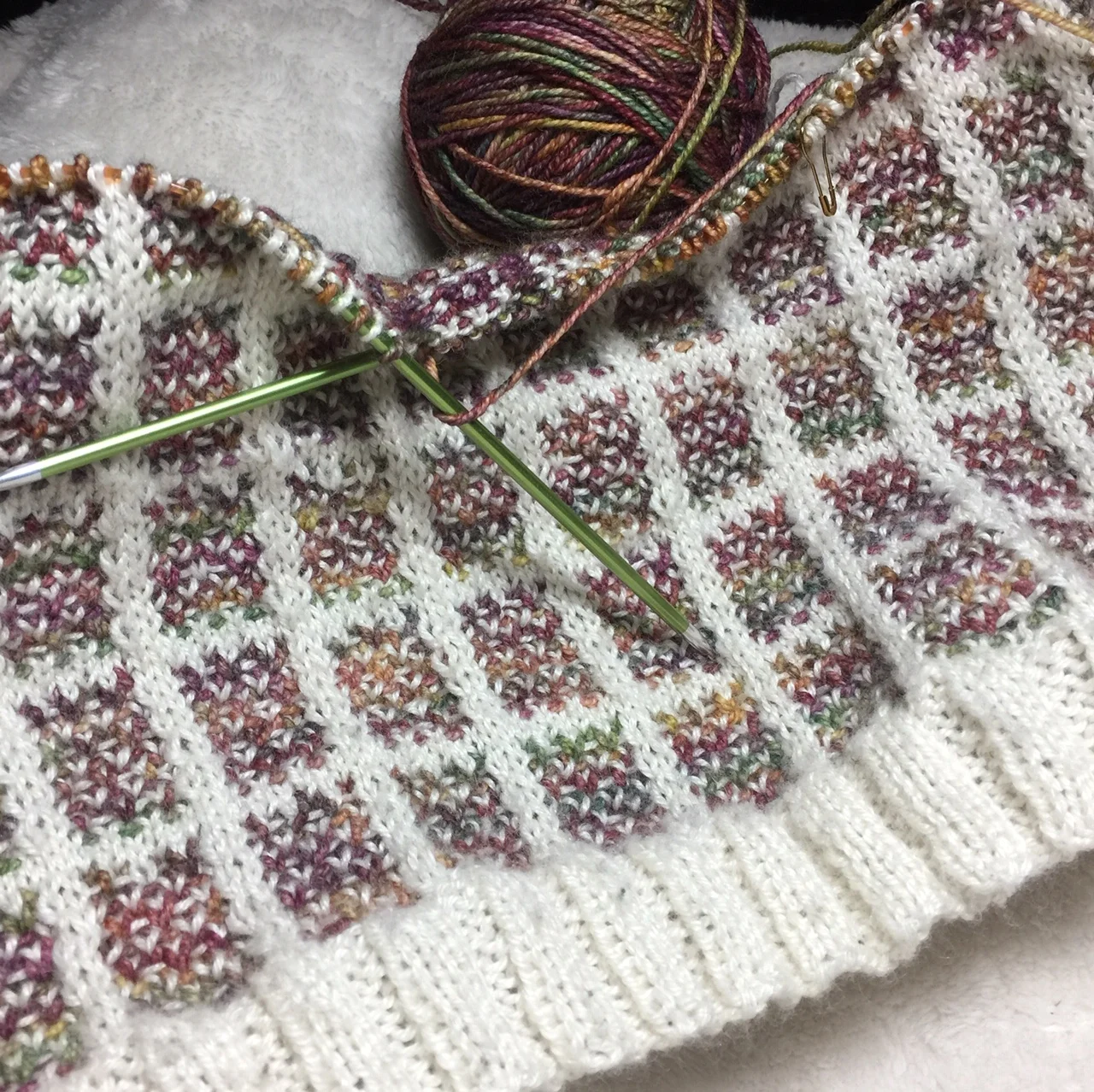 Intro to Mosaic Knitting/ The Anning Cowl
