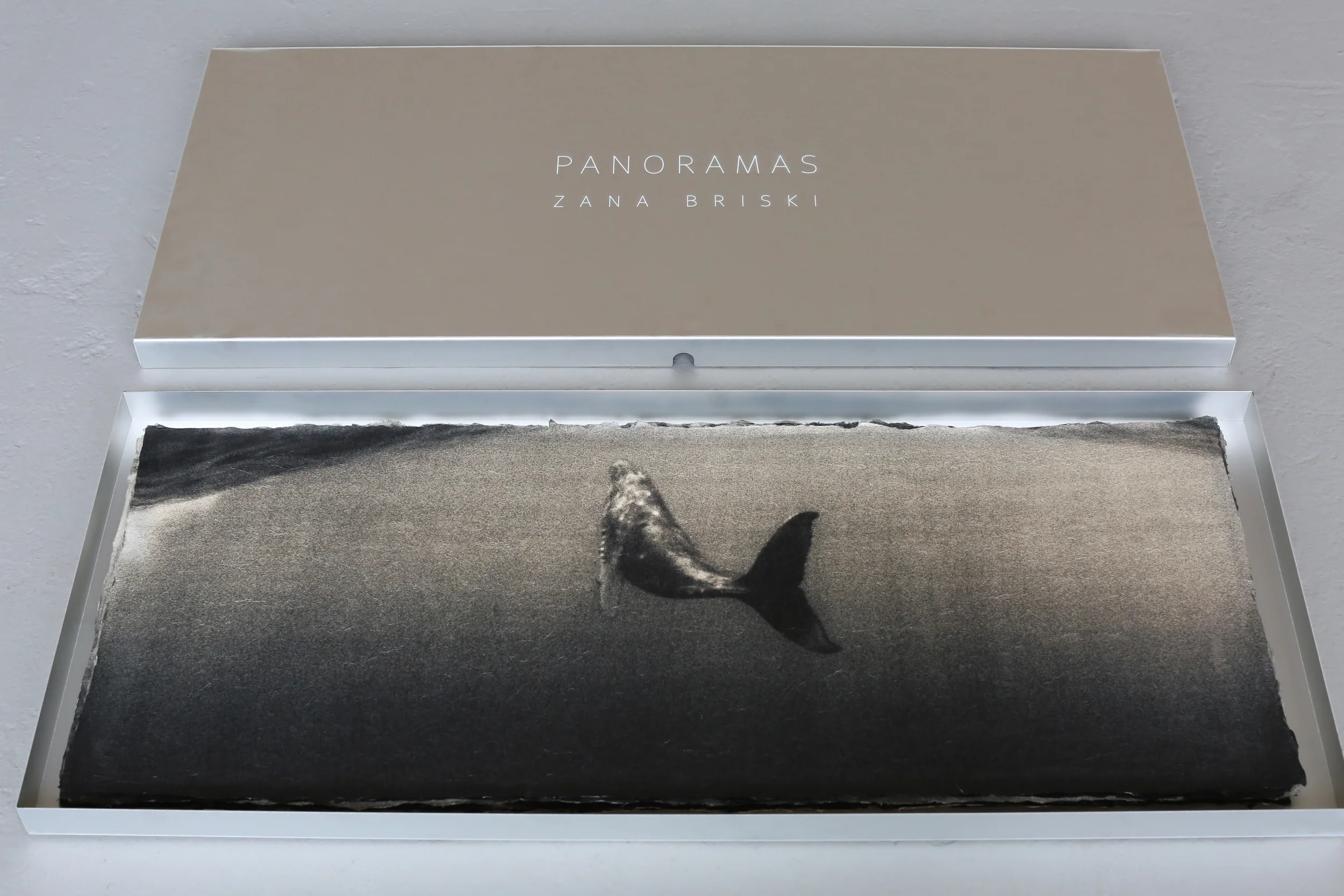 Humpback whale , collector's box. Archival pigment print on handmade Japanese Kozo, 15 x 38 inches.
