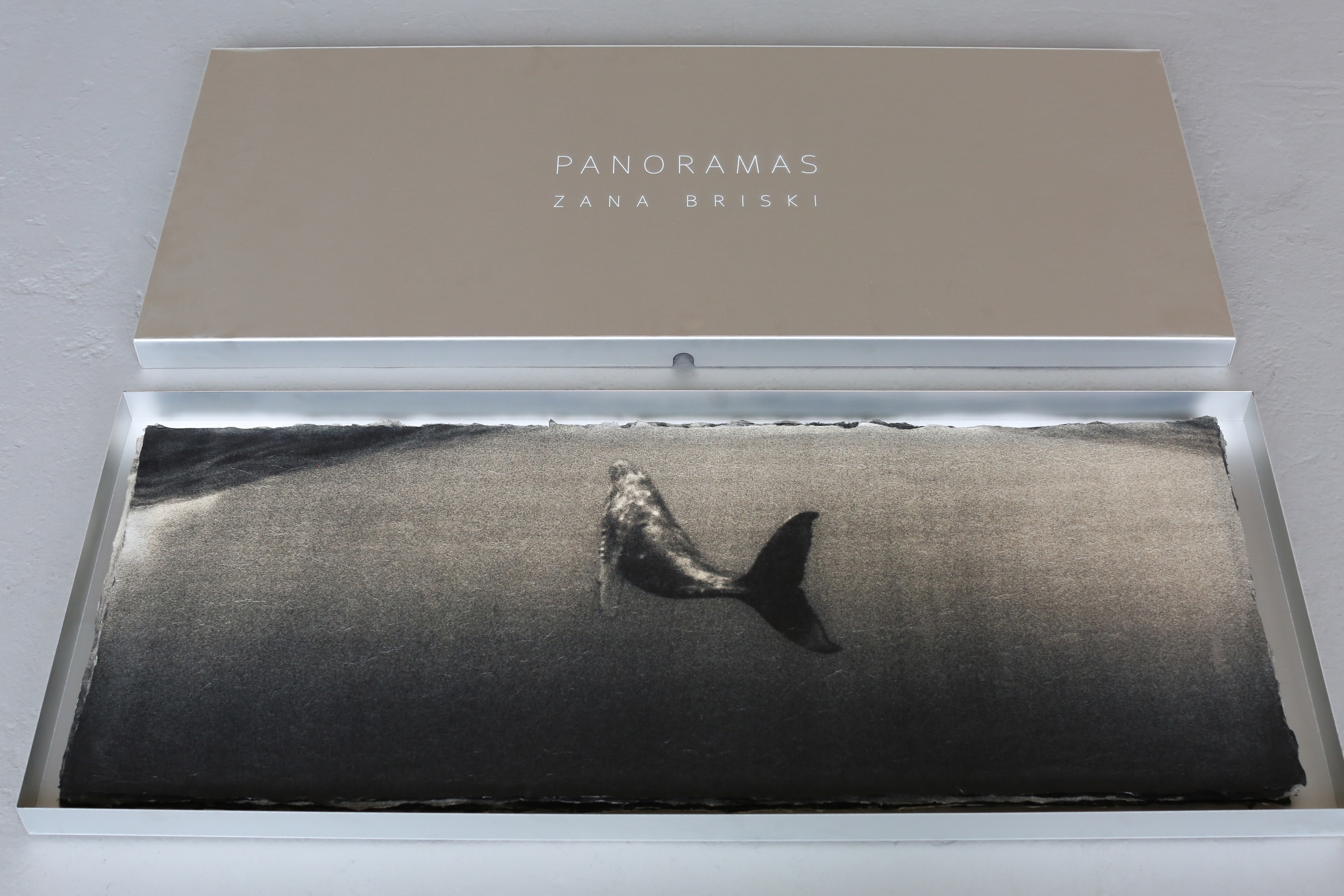  Humpback whale , collector's box.  Archival pigment print on handmade Japanese Kozo,  15 x 38 inches. 