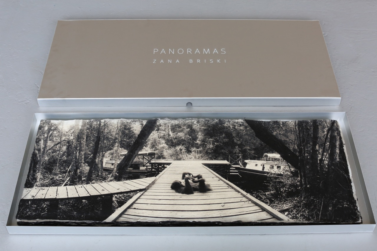 Orangutan , collector's box. Archival pigment print on handmade Japanese Kozo, 15 x 38 inches.