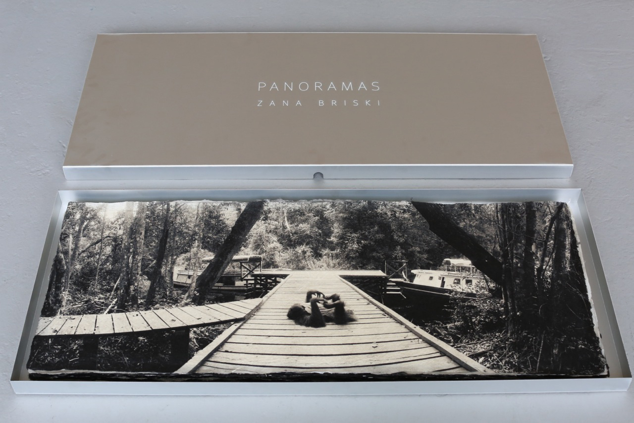   Orangutan ,&nbsp;collector's box.  Archival pigment print on handmade Japanese Kozo,  15 x 38 inches. 