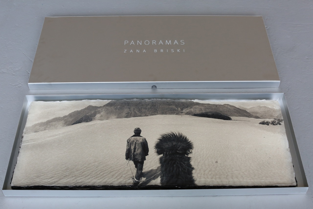   Bactrian camel , collector's box.  Archival pigment print on handmade Japanese Kozo,  15 x 38 inches. 