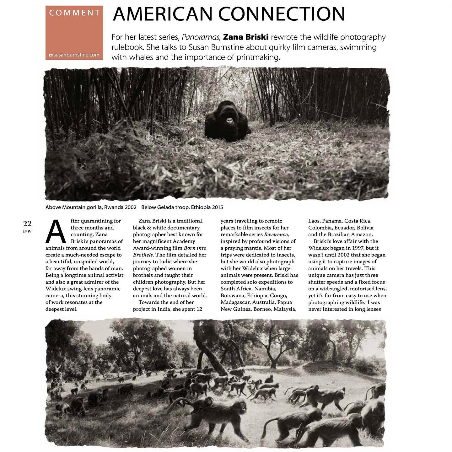 Thank you @susanburnstine for the wonderful article about my animal panoramas in B+W Photography! #widelux #bwphotography #bwphoto #bwphotomag #blackandwhite #fineartphotography #35mm #reverencefoundation