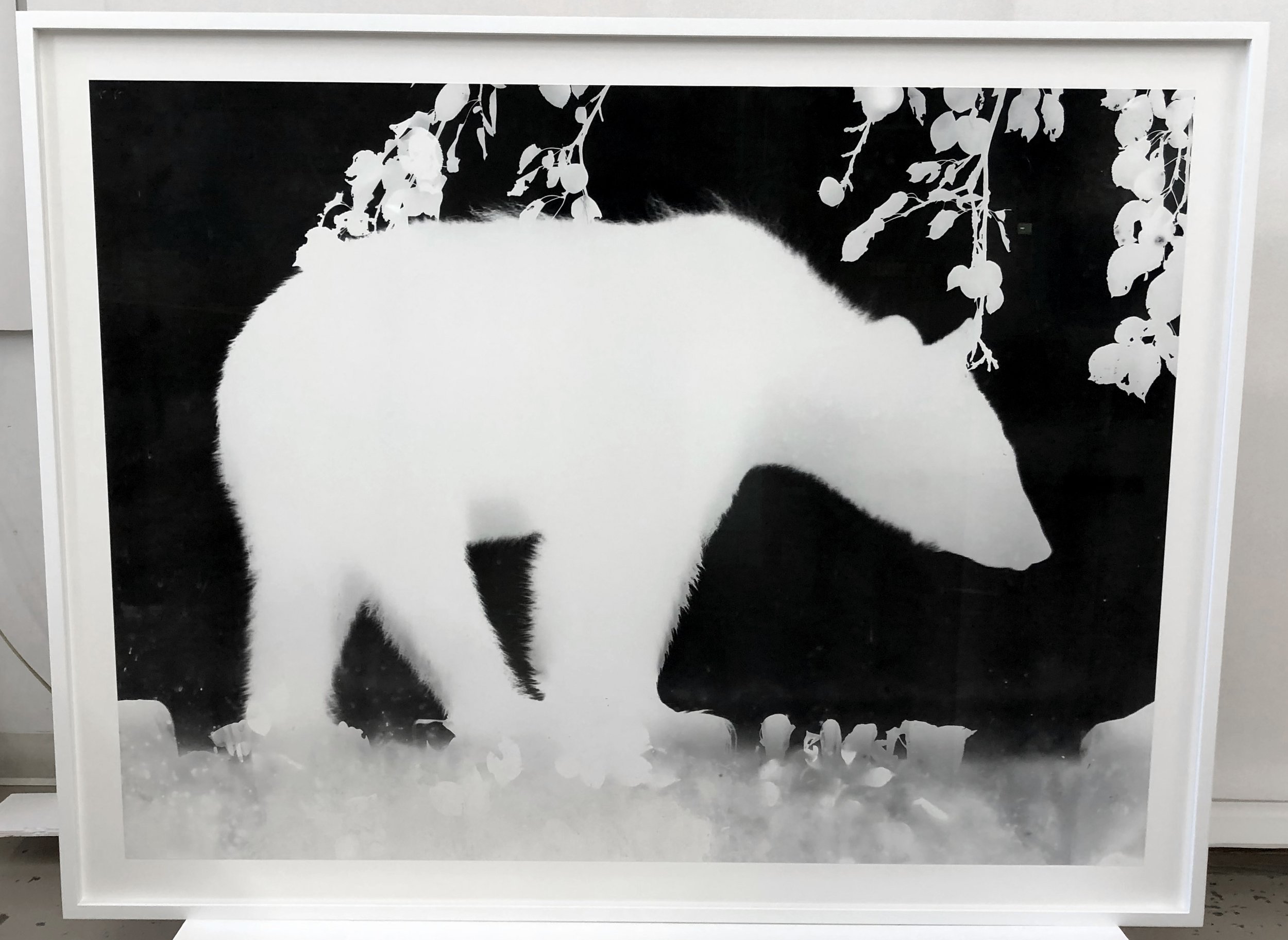 BEAROGRAM #9 framed.jpg