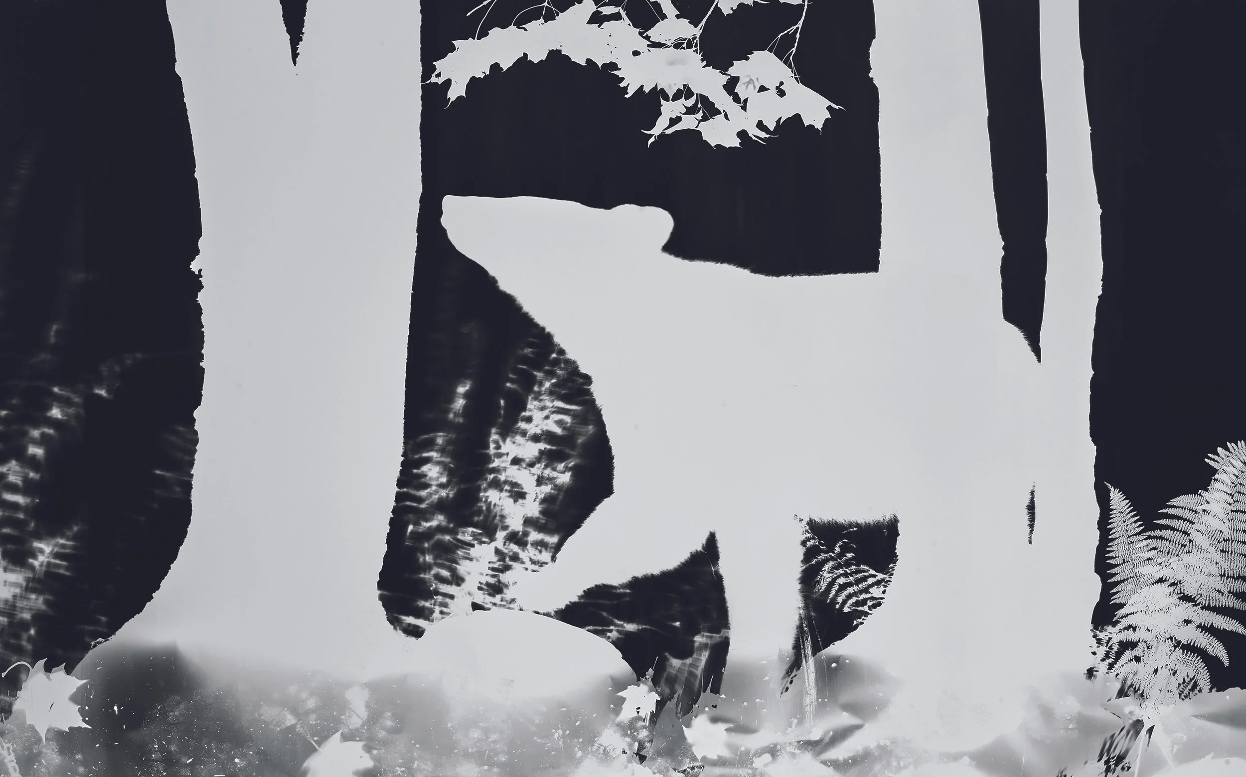 20. Bearogram #23.jpg