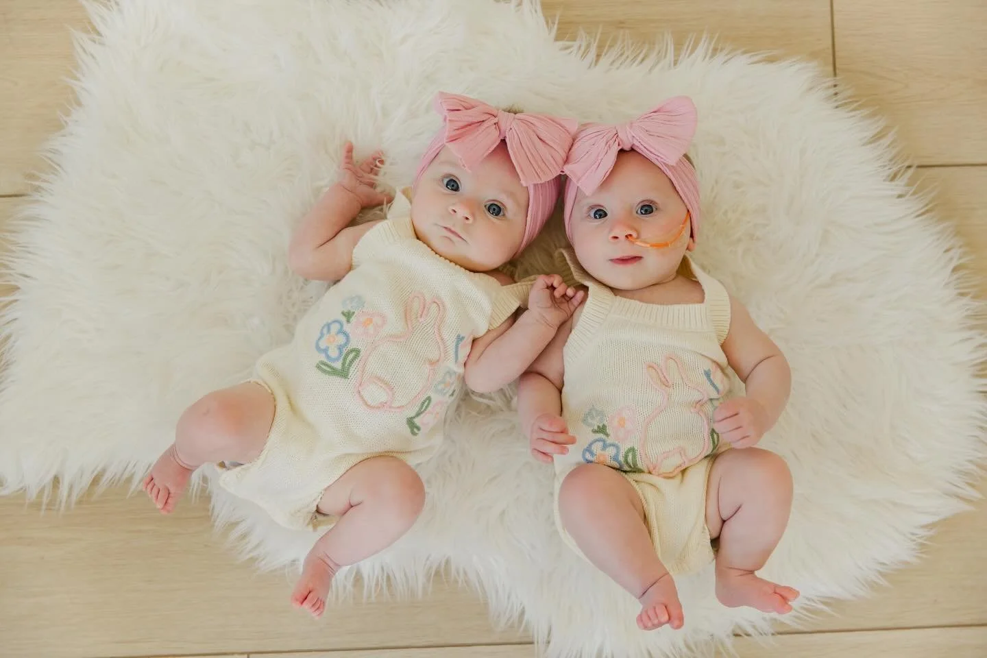 Two little bunnies 🐰 🐰