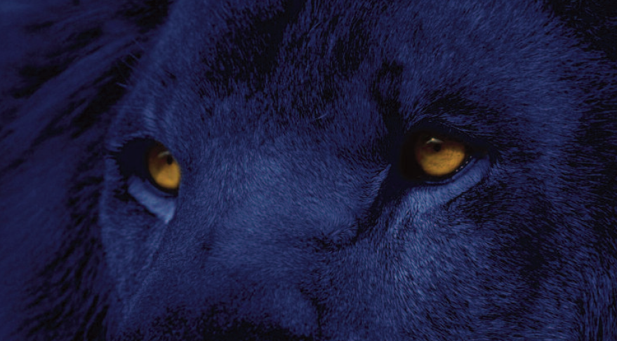 3 weeks eyes.png