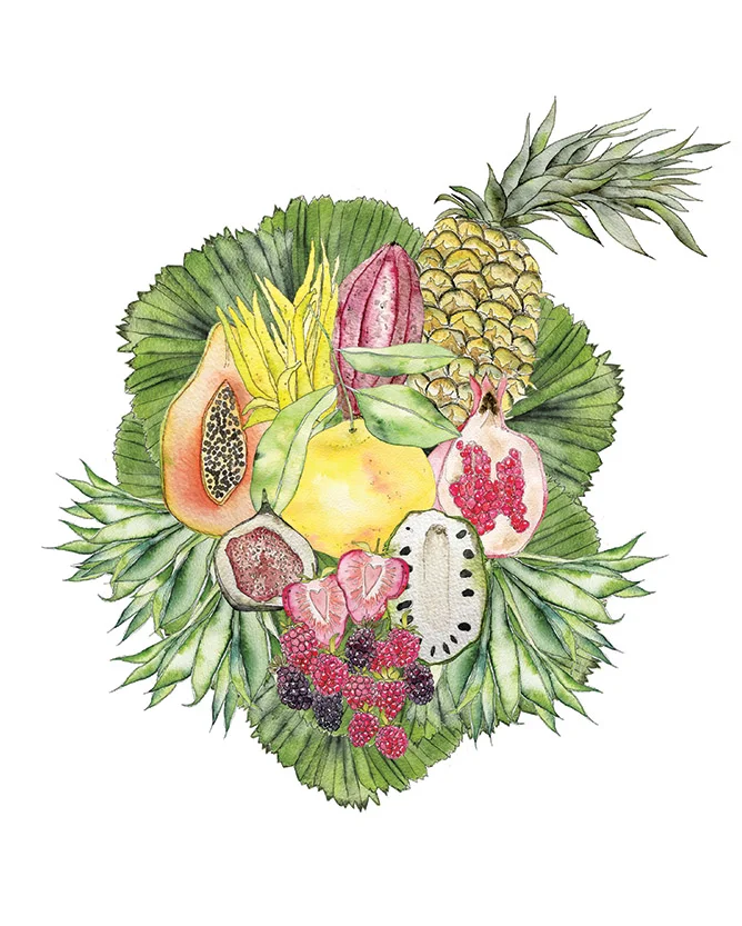 Tropicalia