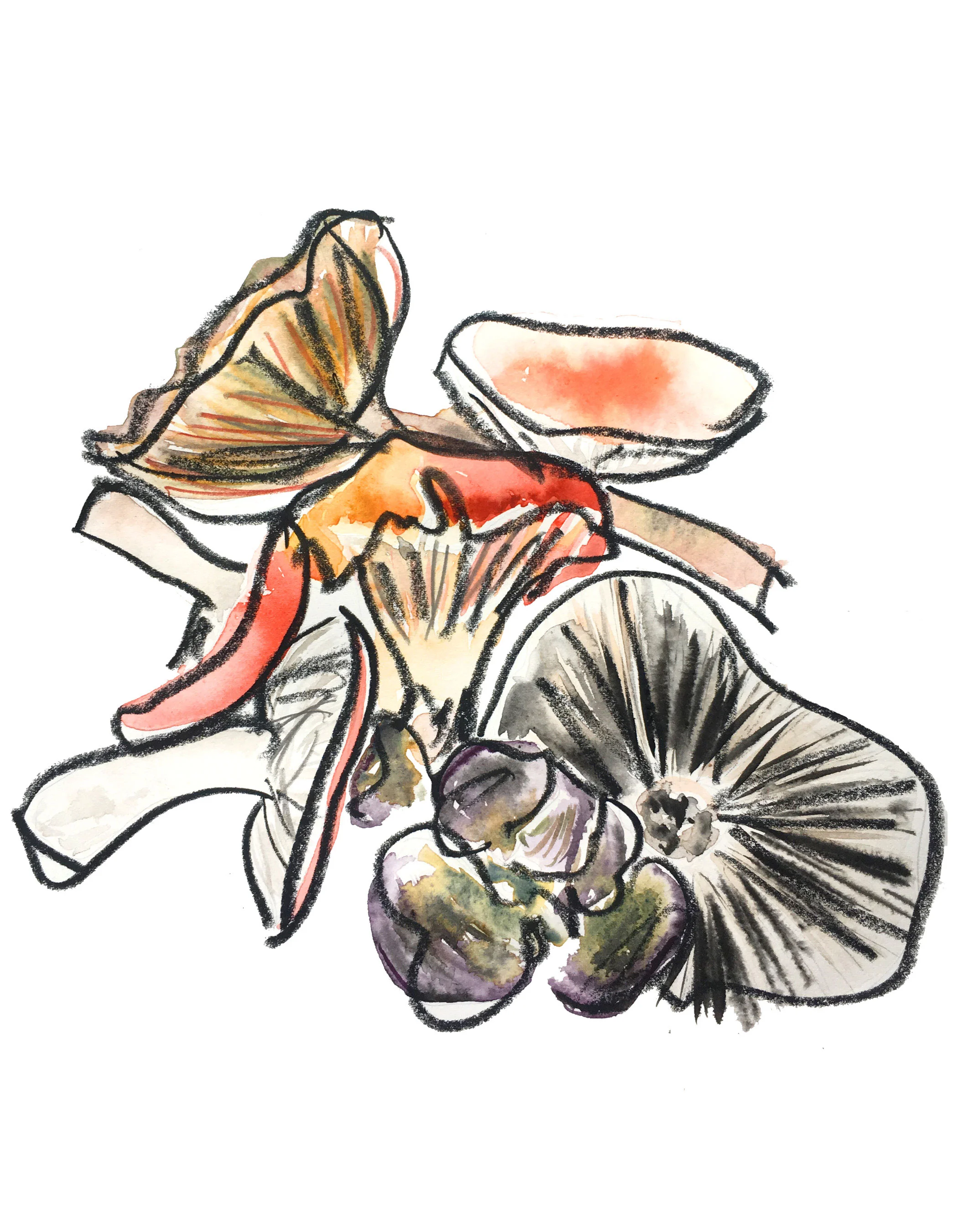 charcoalshrooms_op.jpg