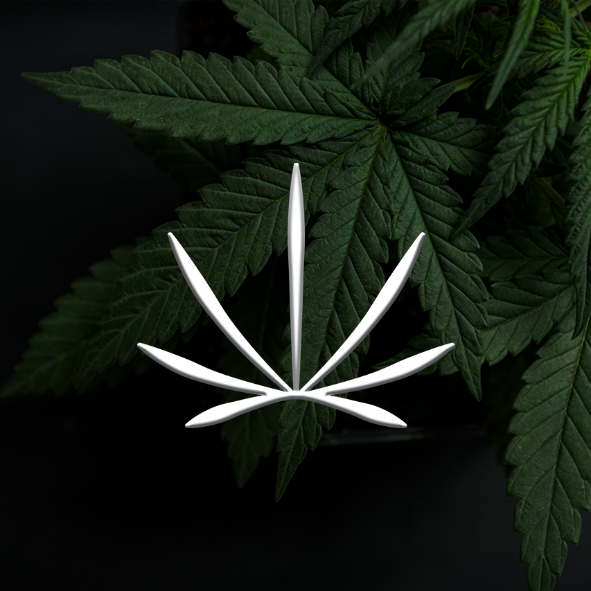 420.png