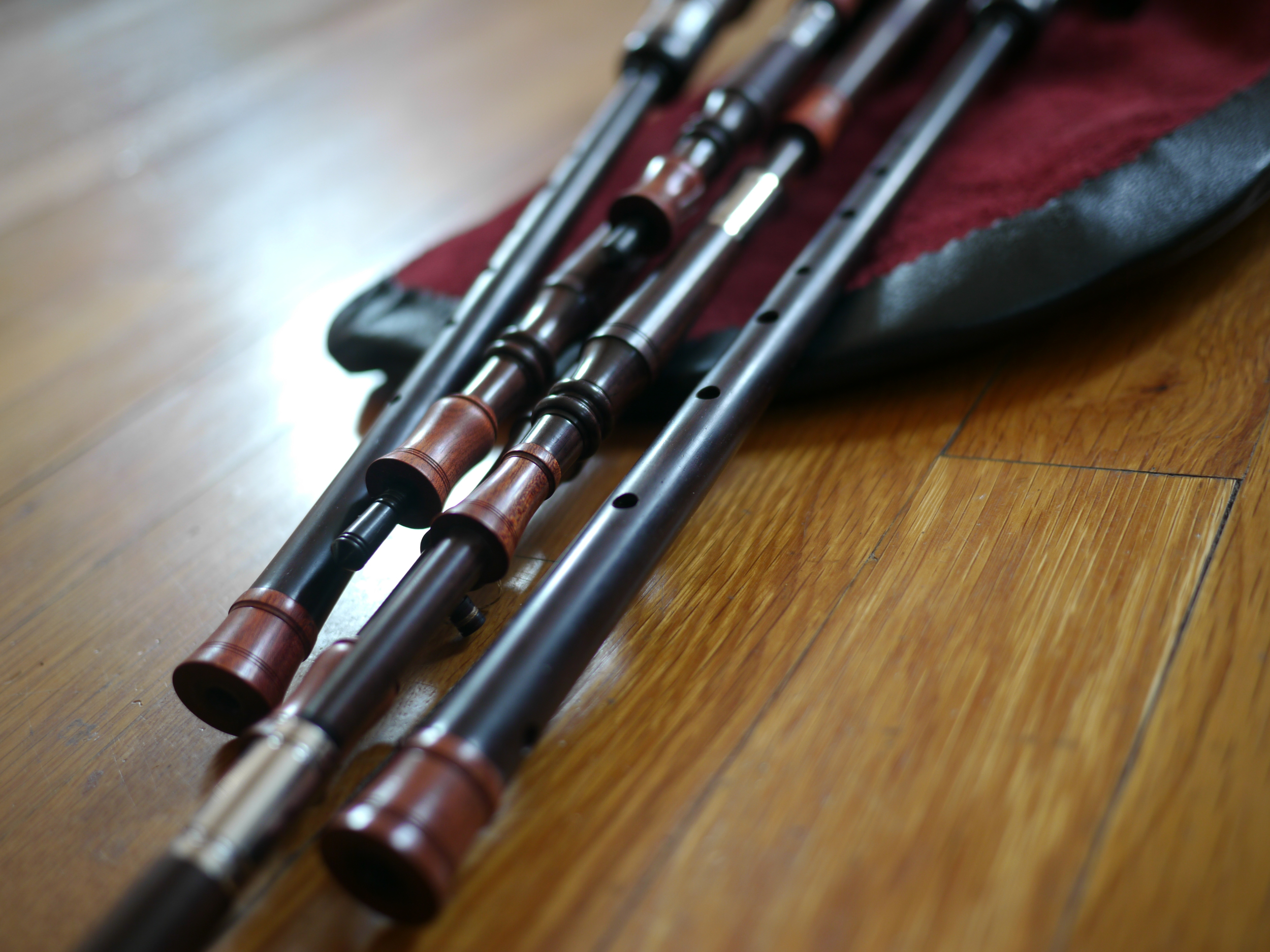 Blackwood and Bloodwood