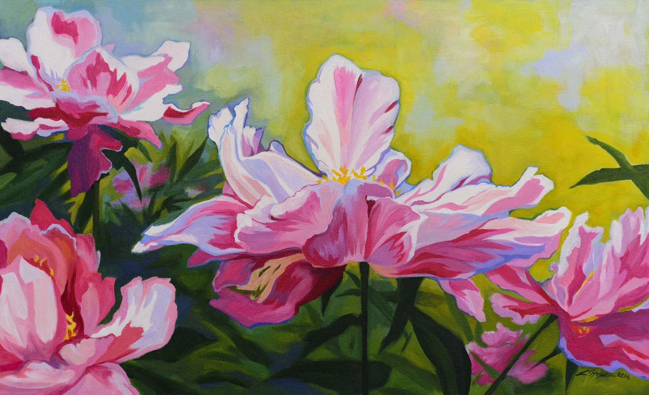 Pink Peonies