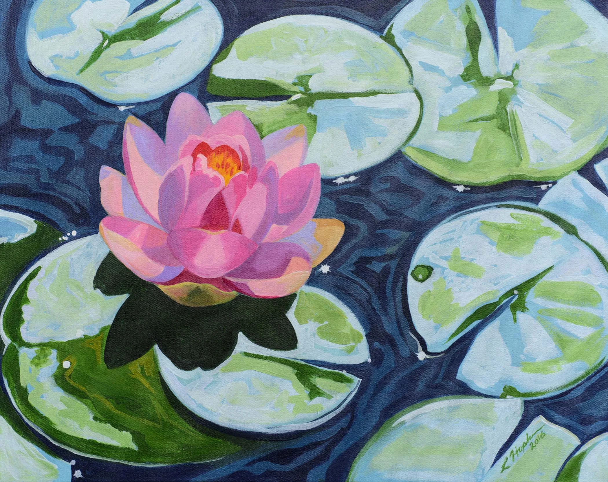 Water Lily