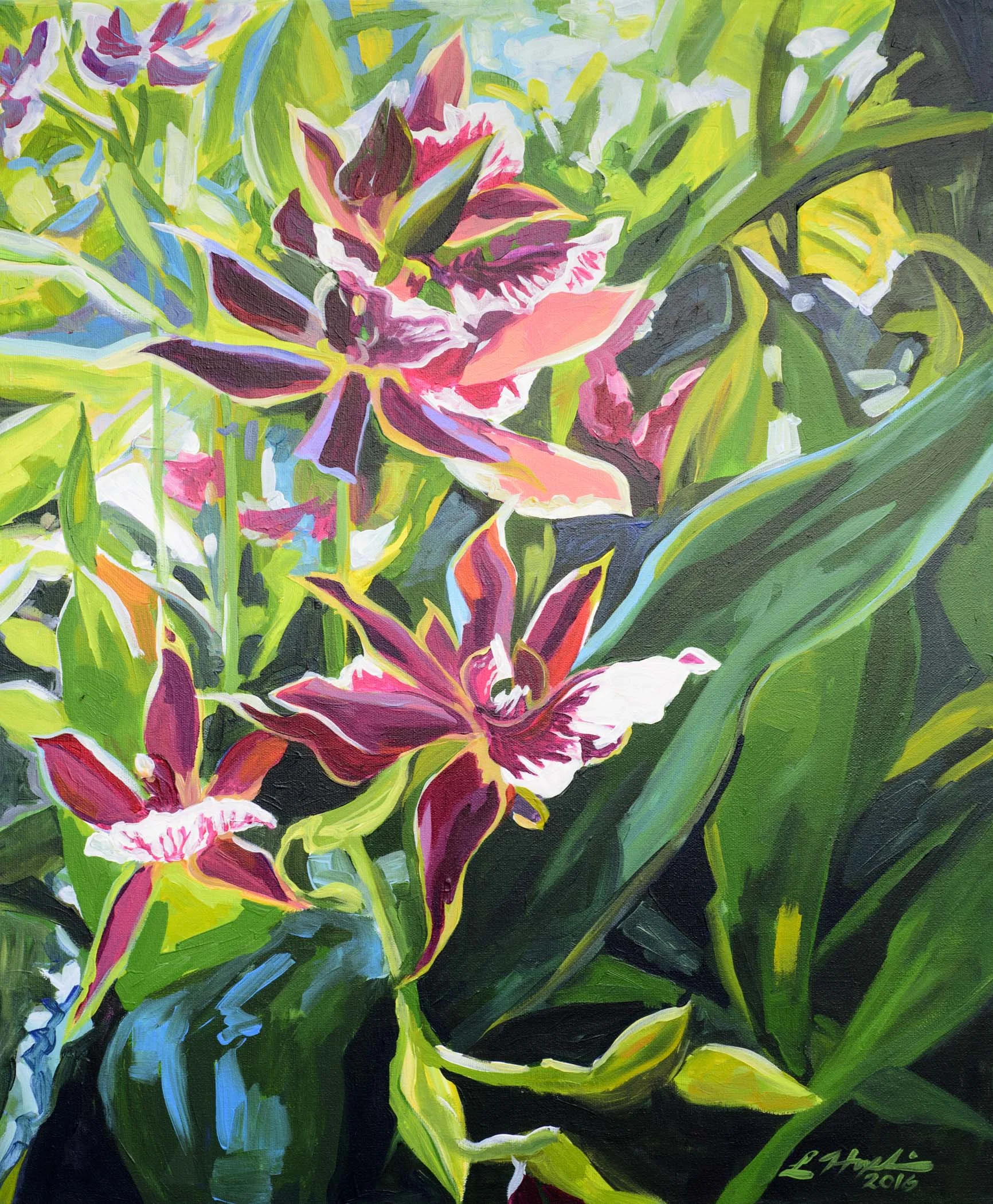 Come and Join the Dance