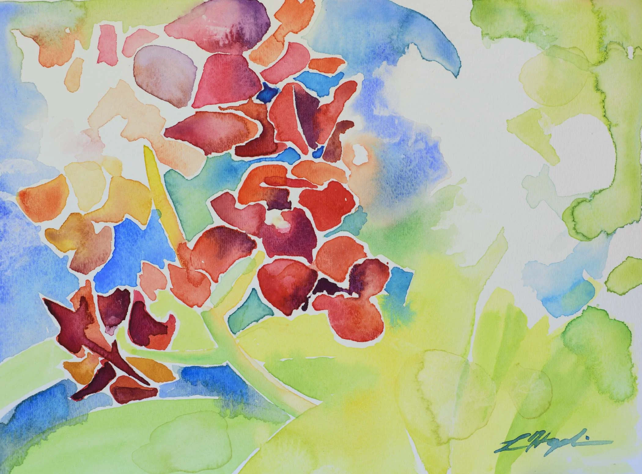 Sun-splashed Orchids