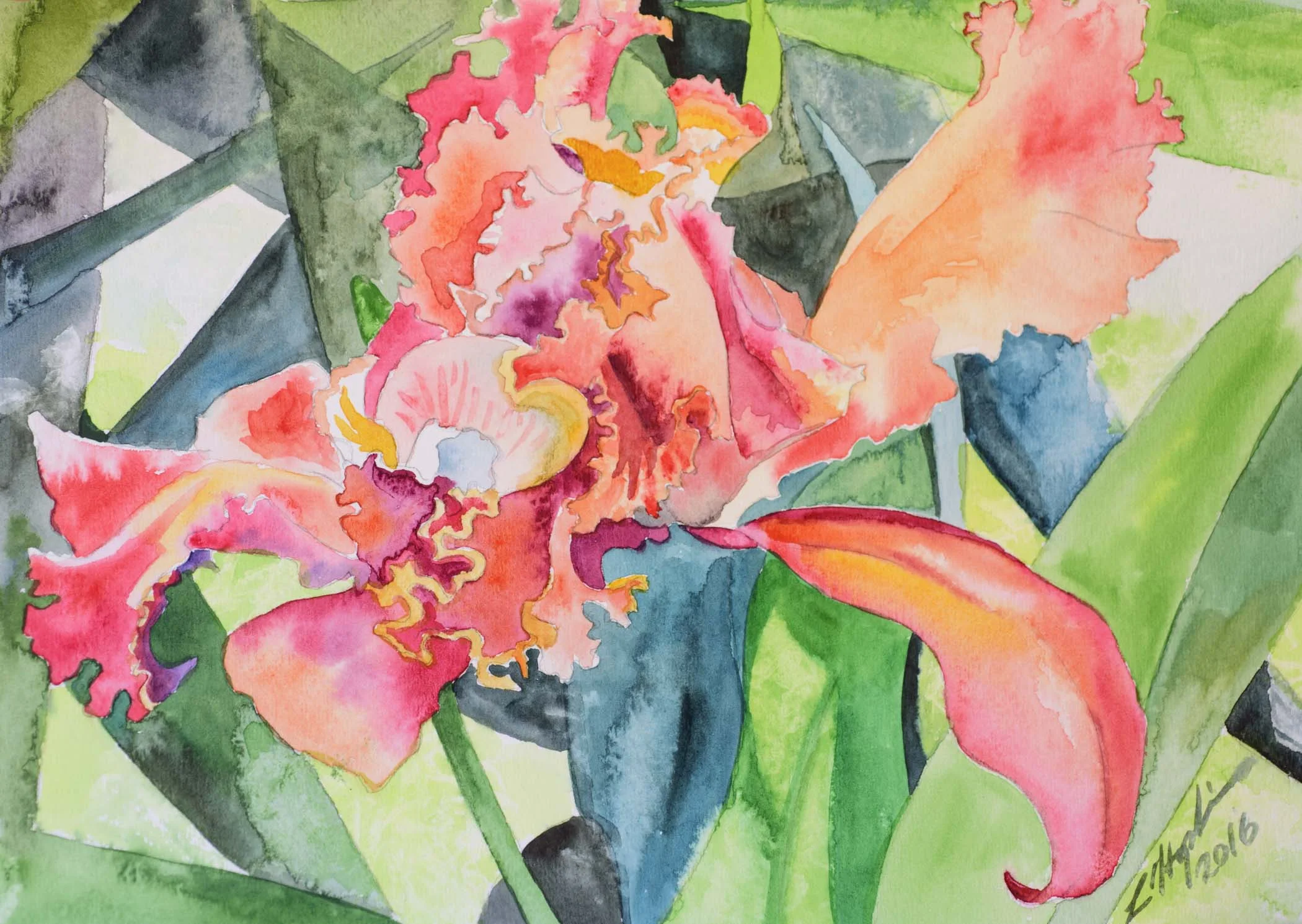 Red Orchid