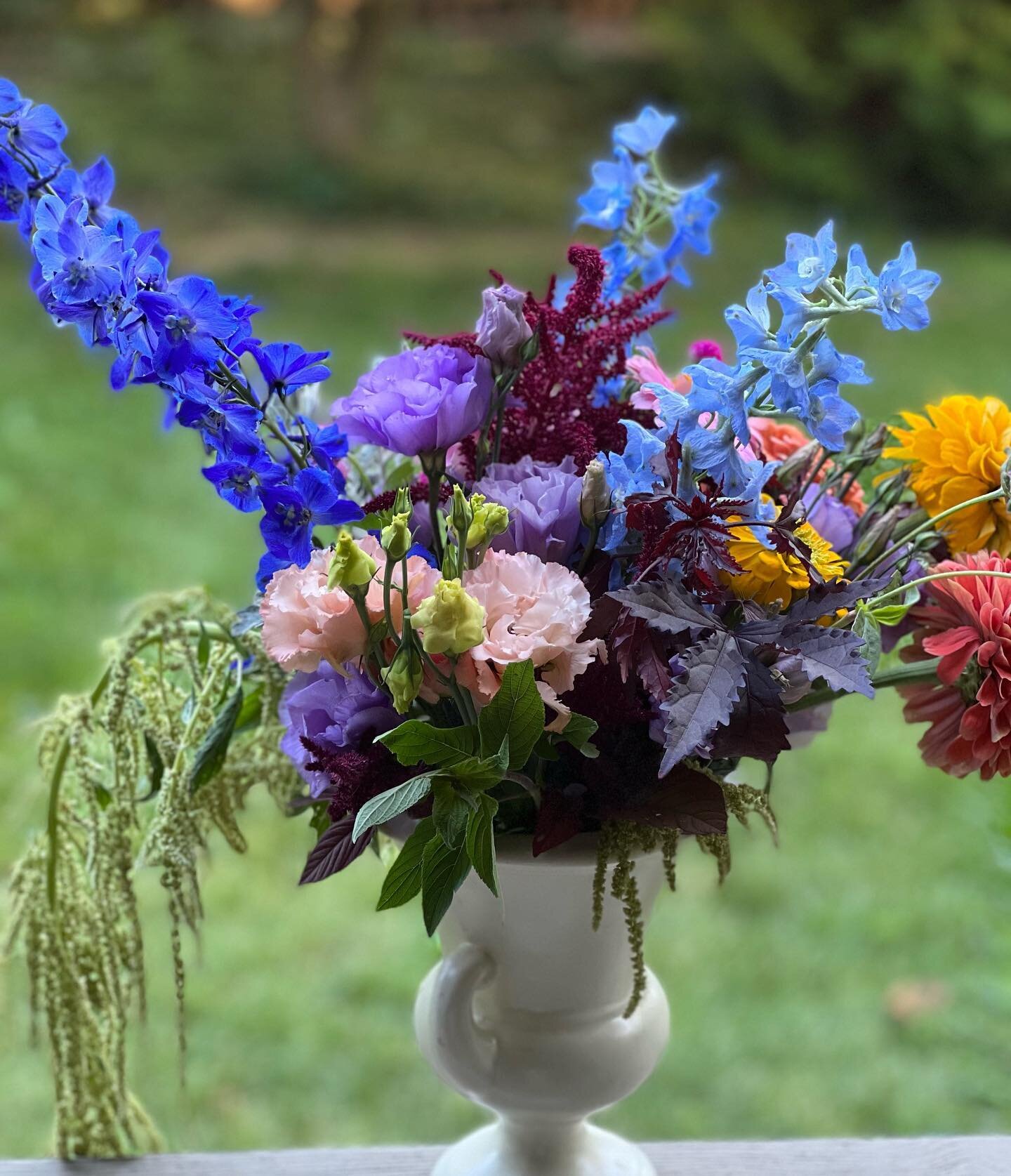 We spent the morning meeting @hiddenvaleflowers, and what a treat it was!  Carolyn sent us on our way with a bucket of the most vibrant, healthy, gorgeous flowers that she casually cut as we talked.  Thank you for sharing your time with us - there is