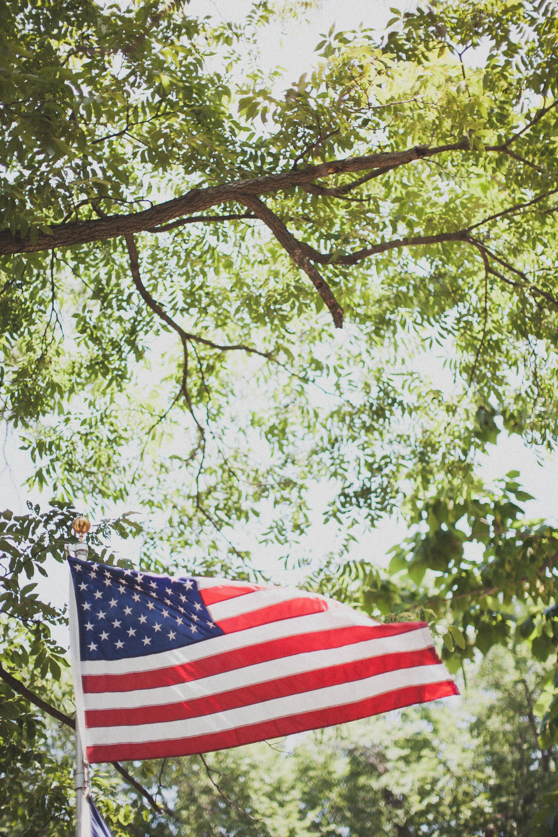 Forth of July