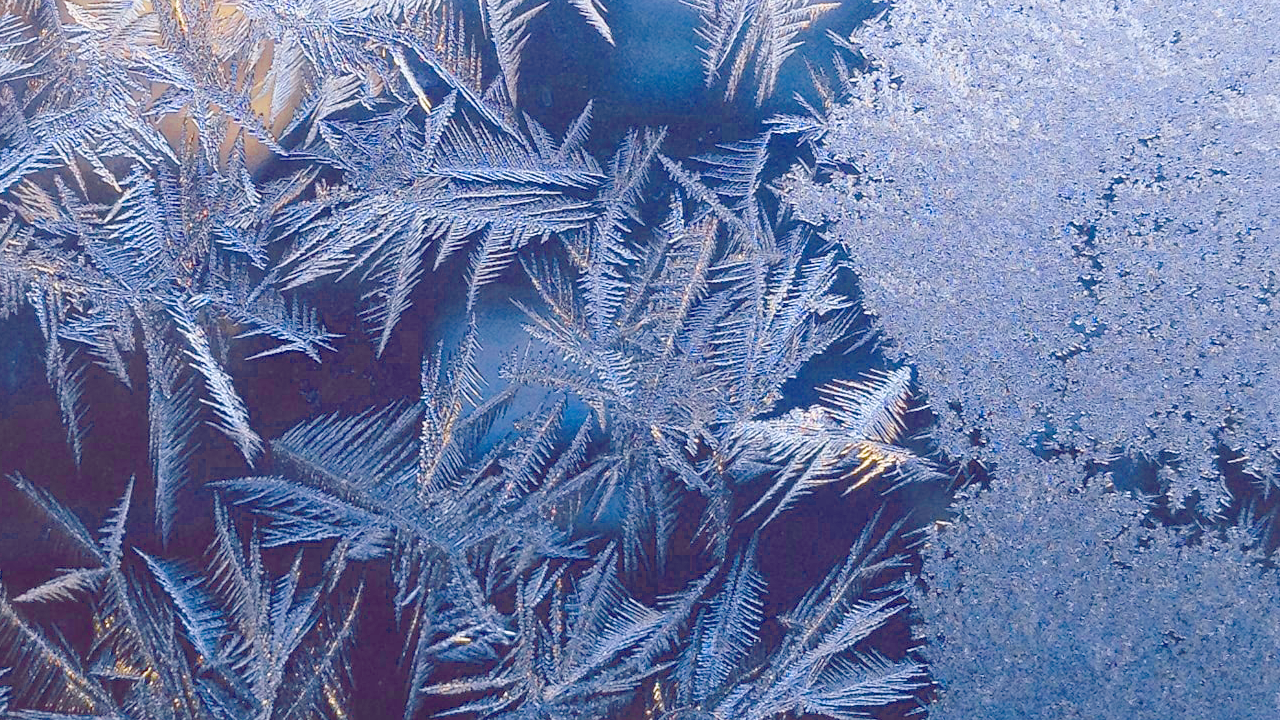 Live stream_Winter_Bkgd.png