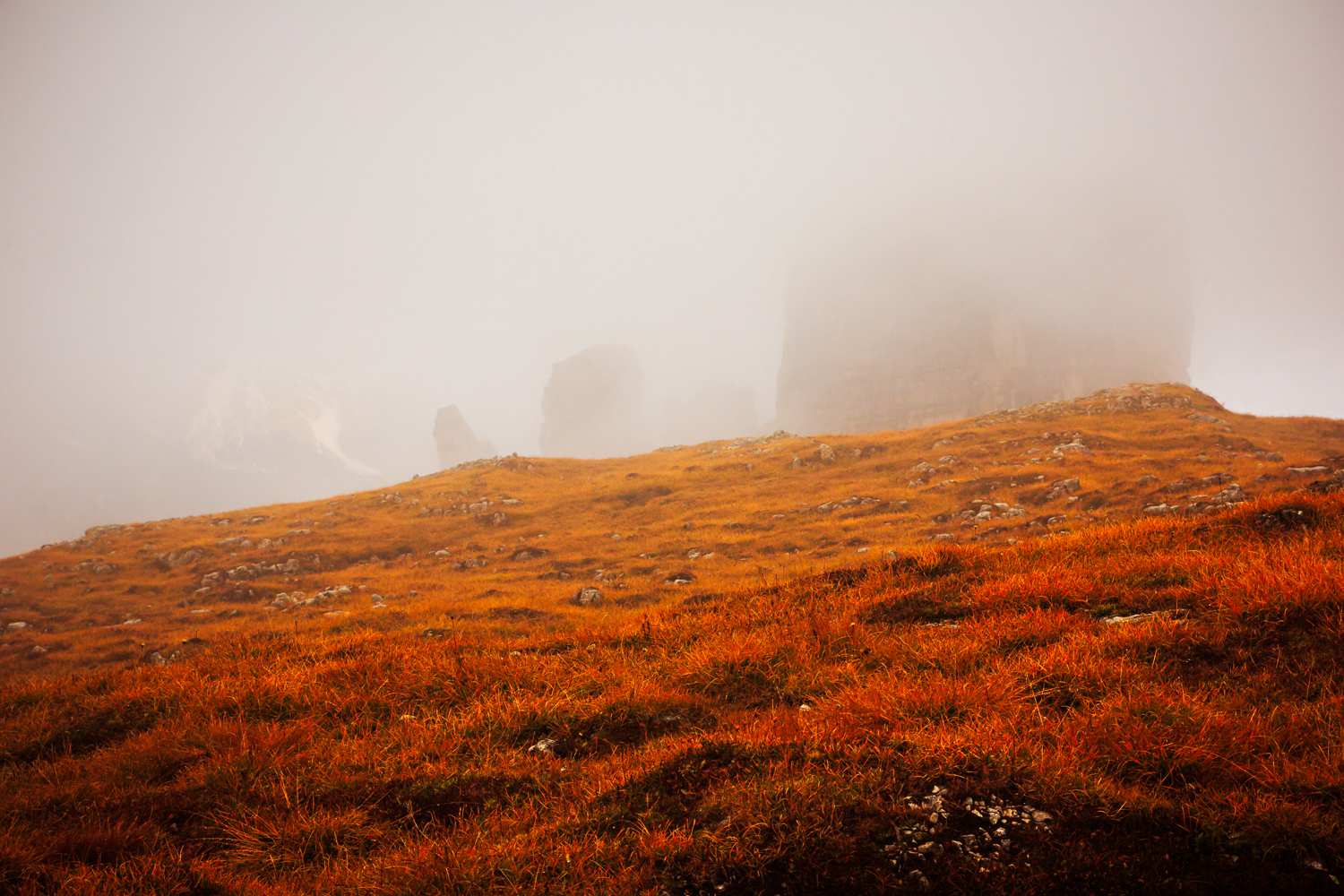 3C1C4861-Edit.jpg