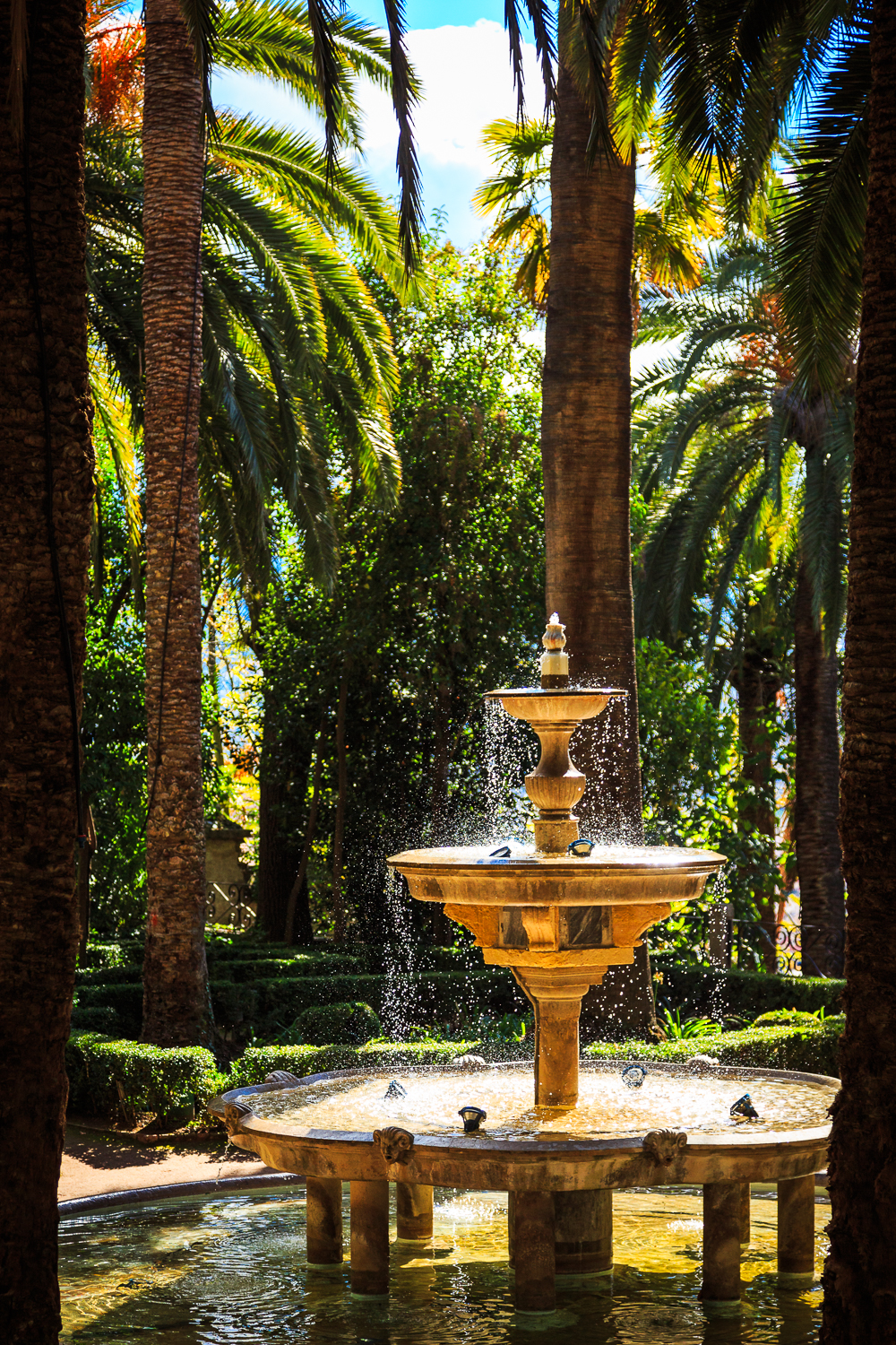 3C1C6983-Edit.jpg