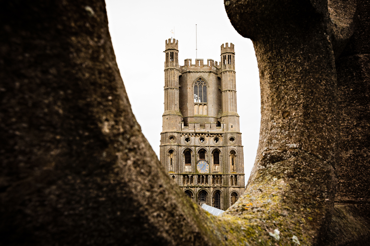 adventure-travel-photography-becky-brockie-cambridgeshire-ely-cathedral.jpg