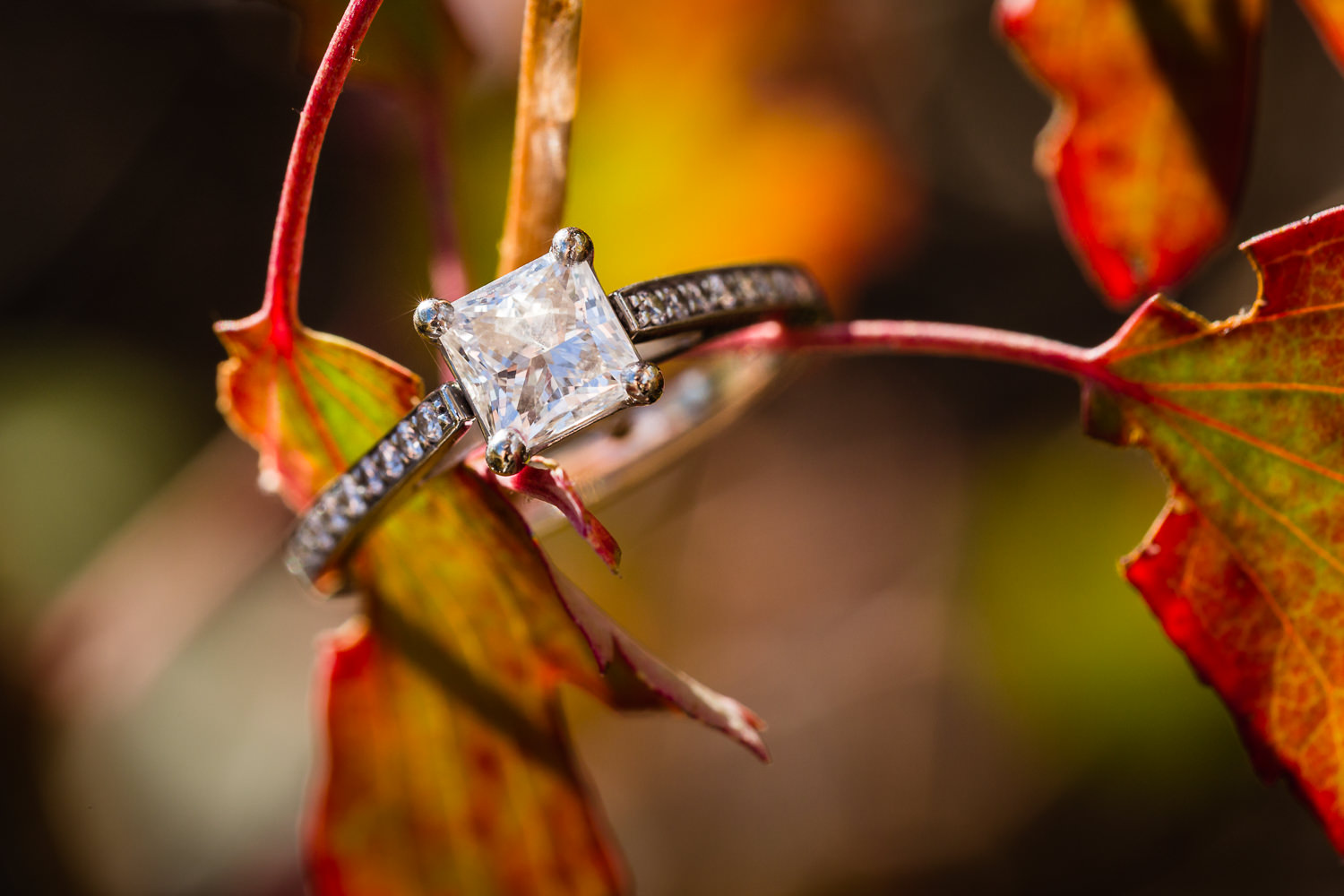 Billings-Montana-fall-engagement-ring-in-leaves.jpg