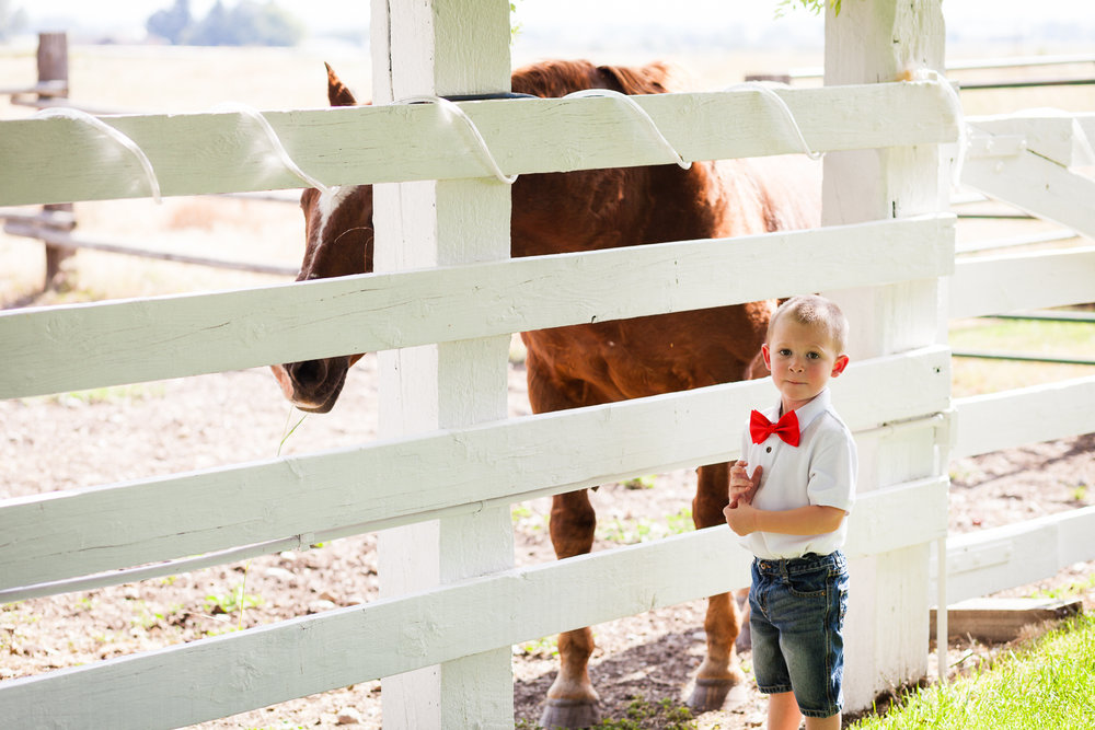 bozeman-montana-wedding-roys-barn-little-boy-visits-horse.jpg