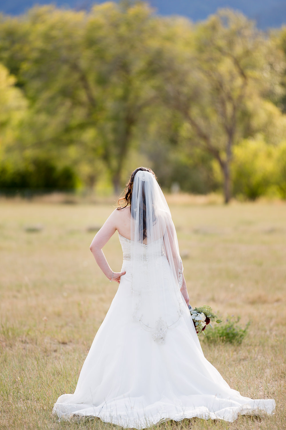 heritage-hall-missoula-montana-back-brides-dress.jpg