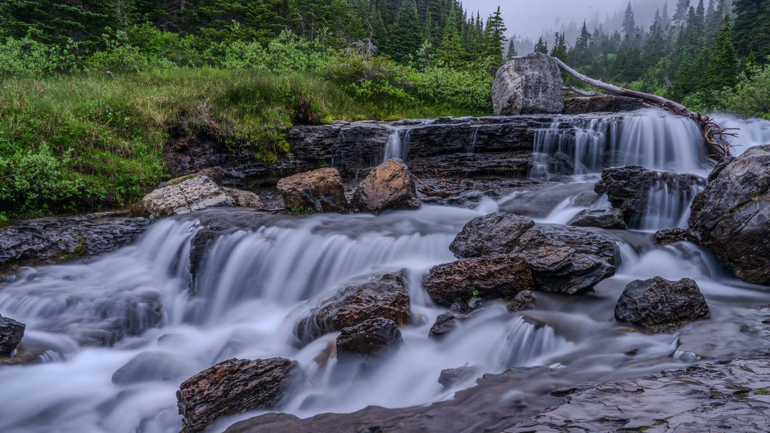 WS_SM_R (29 of 57).jpg