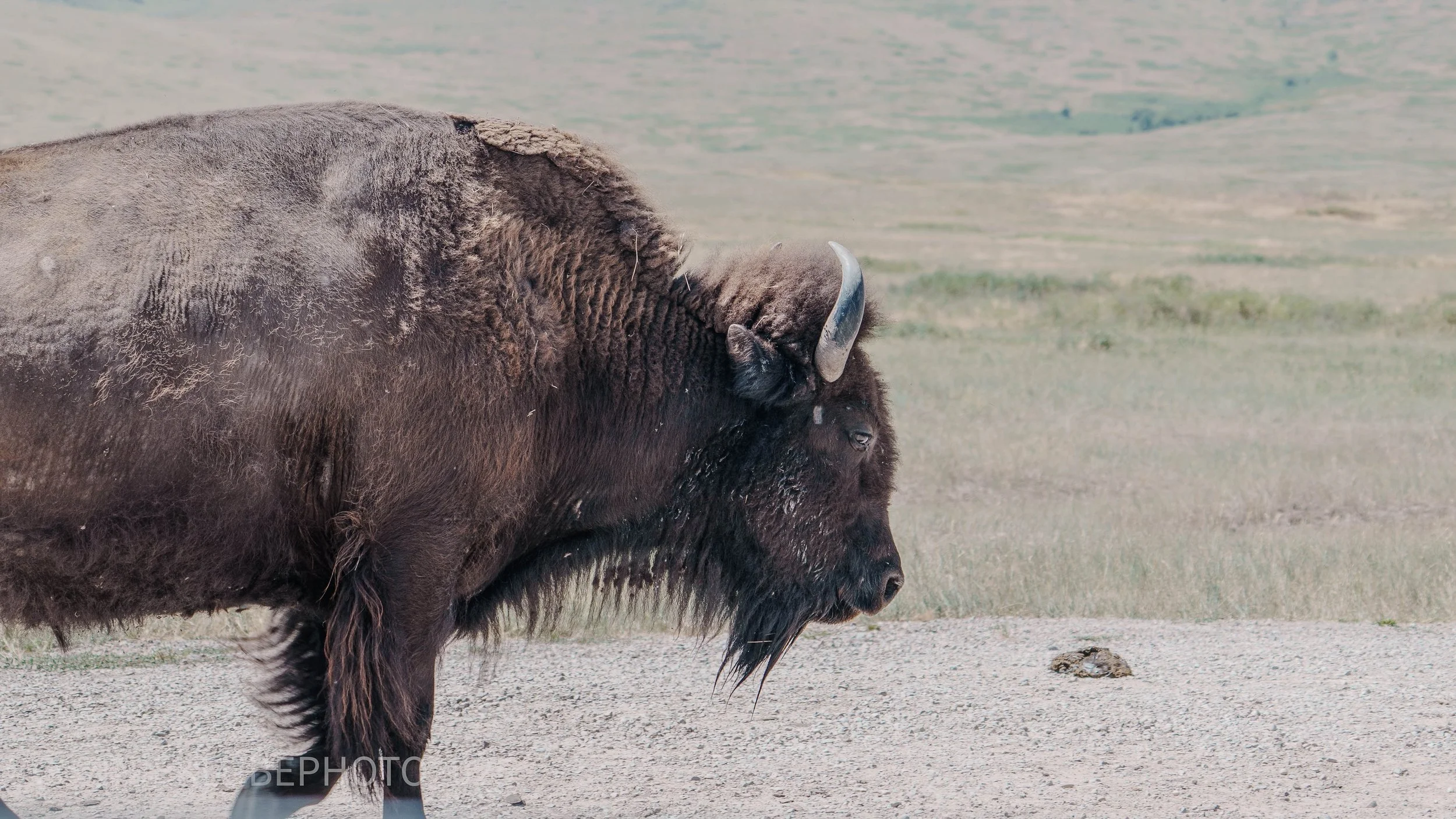 WS_SM_R (34 of 57).jpg