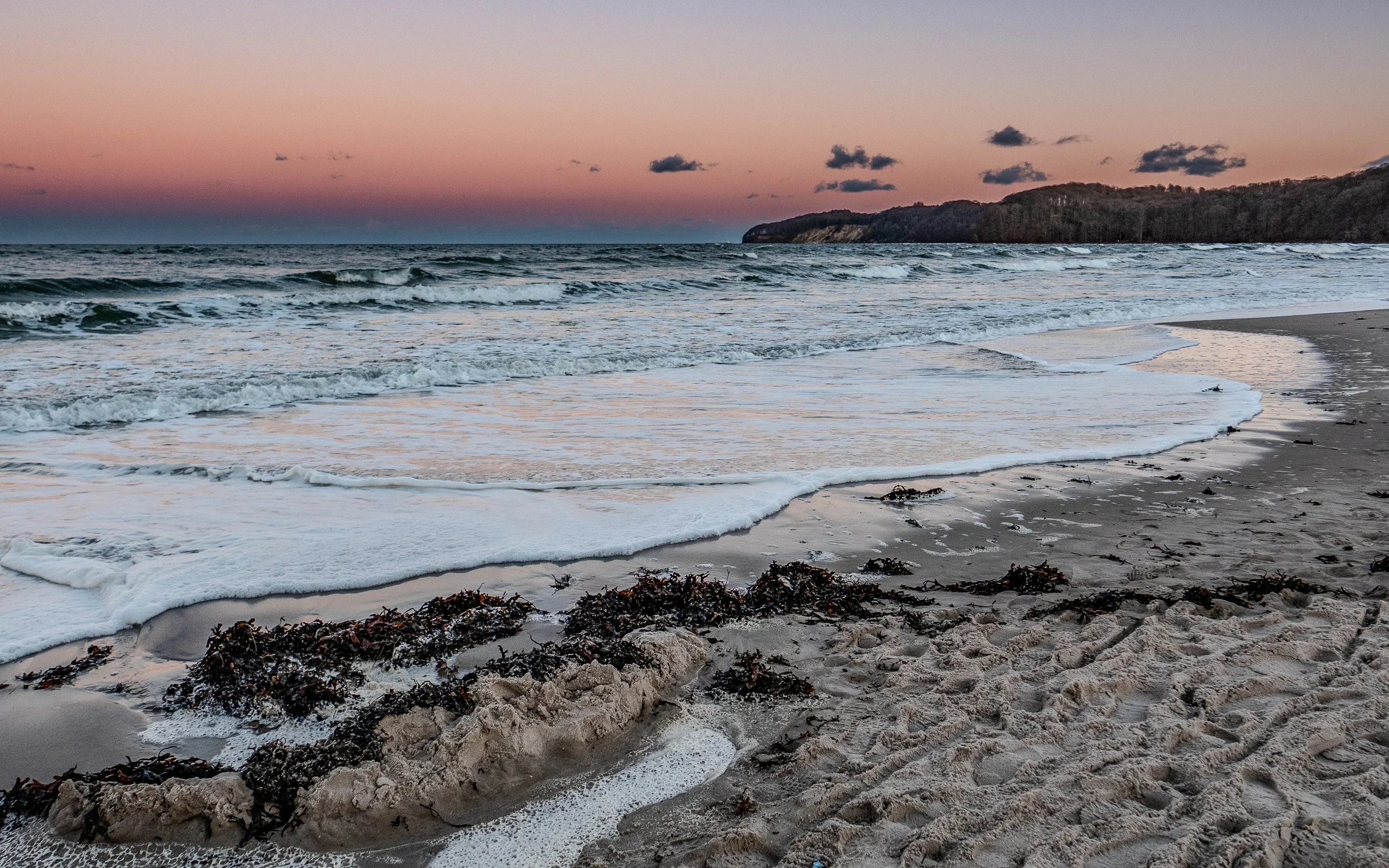 WS_SM_R (56 of 57).jpg