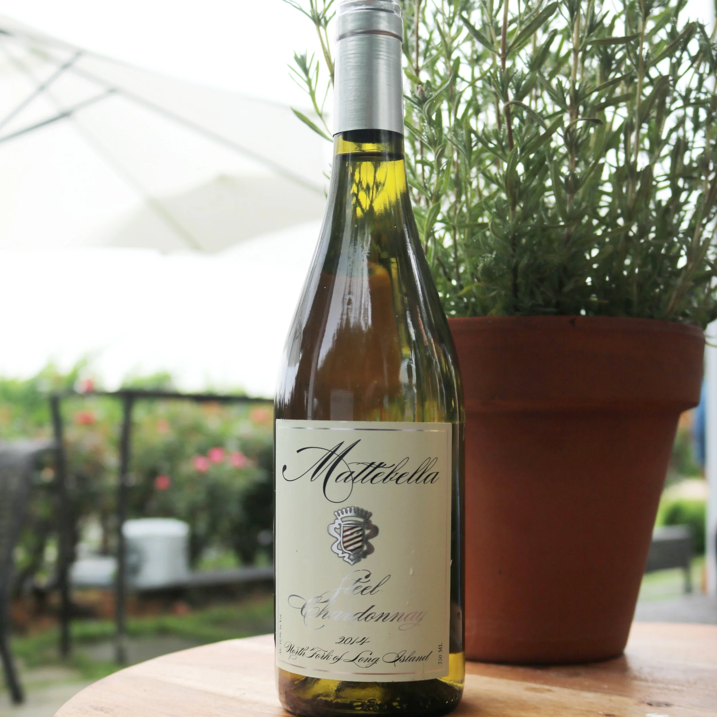 2014 Steel Chardonnay