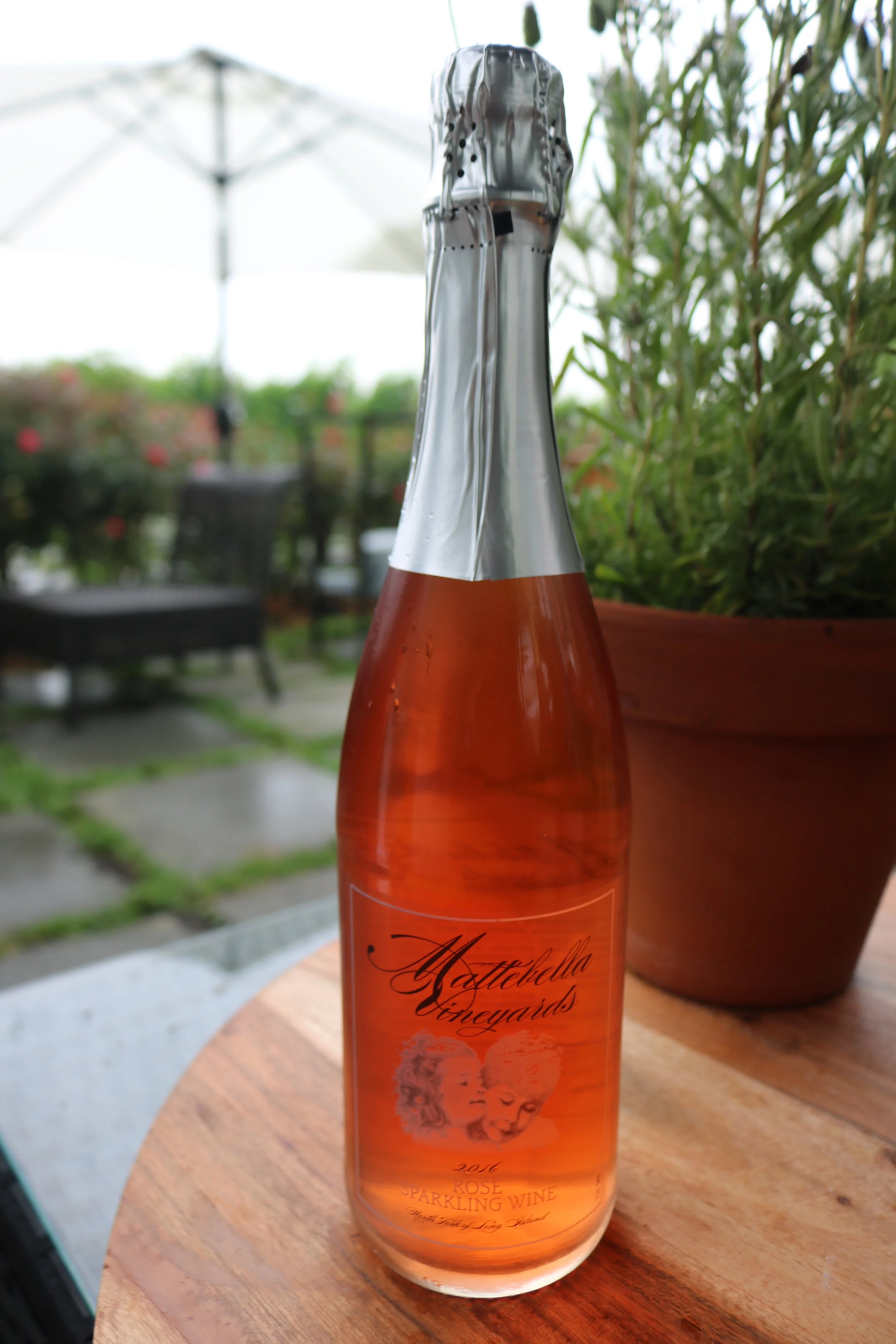 2016 Dry Sparkling Rosé