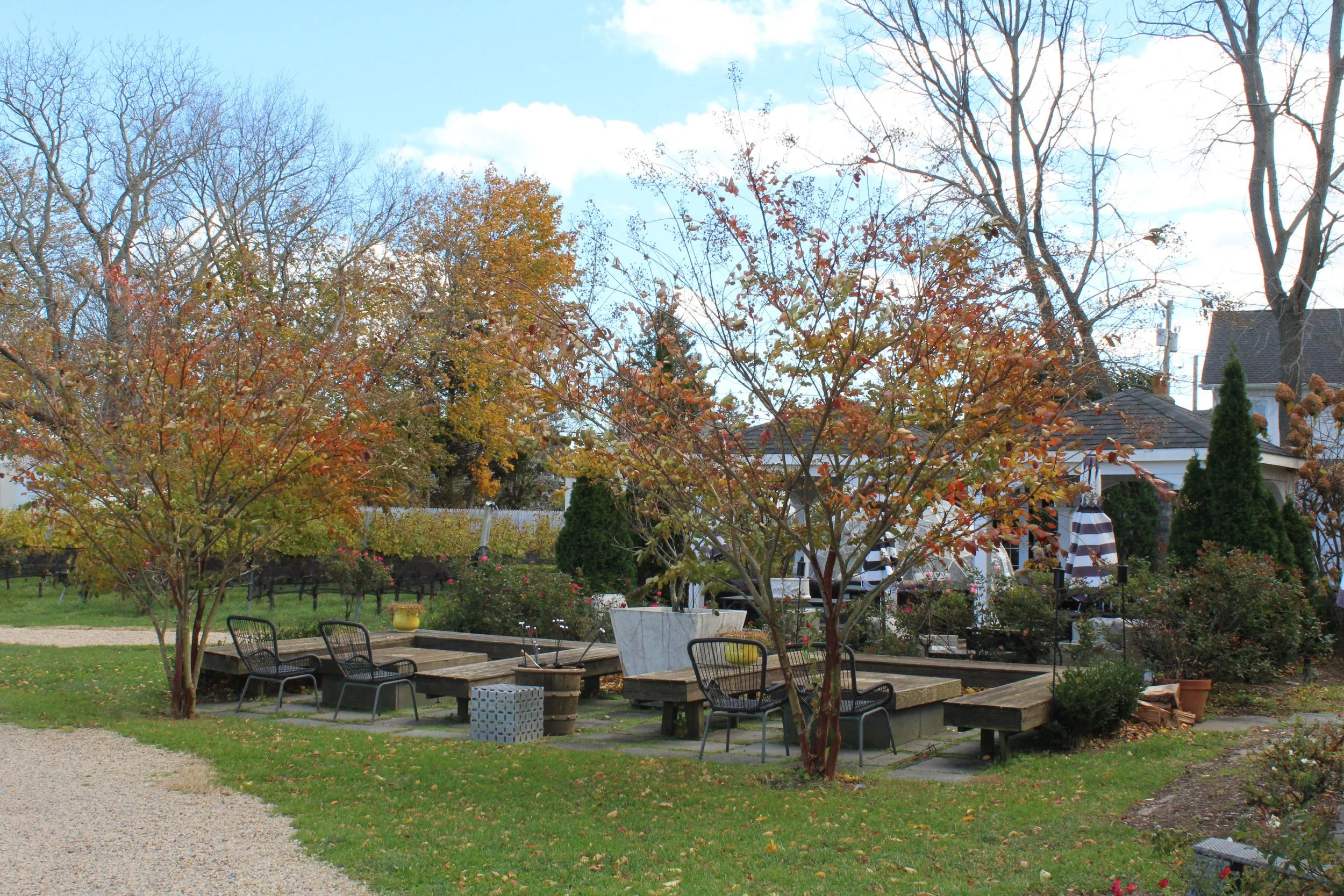 IMG_6493.CR2.jpg