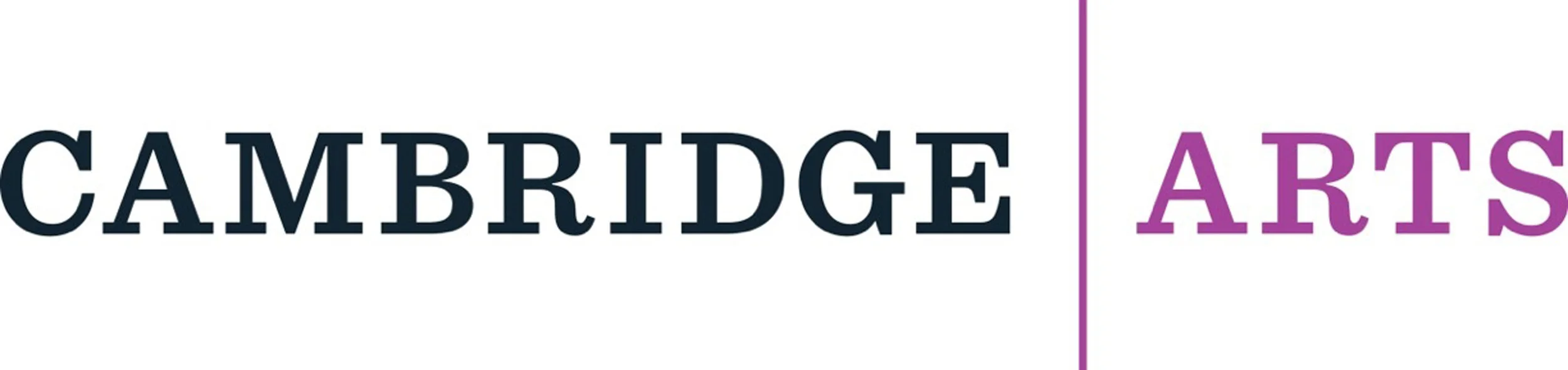 cambridge arts.jpg