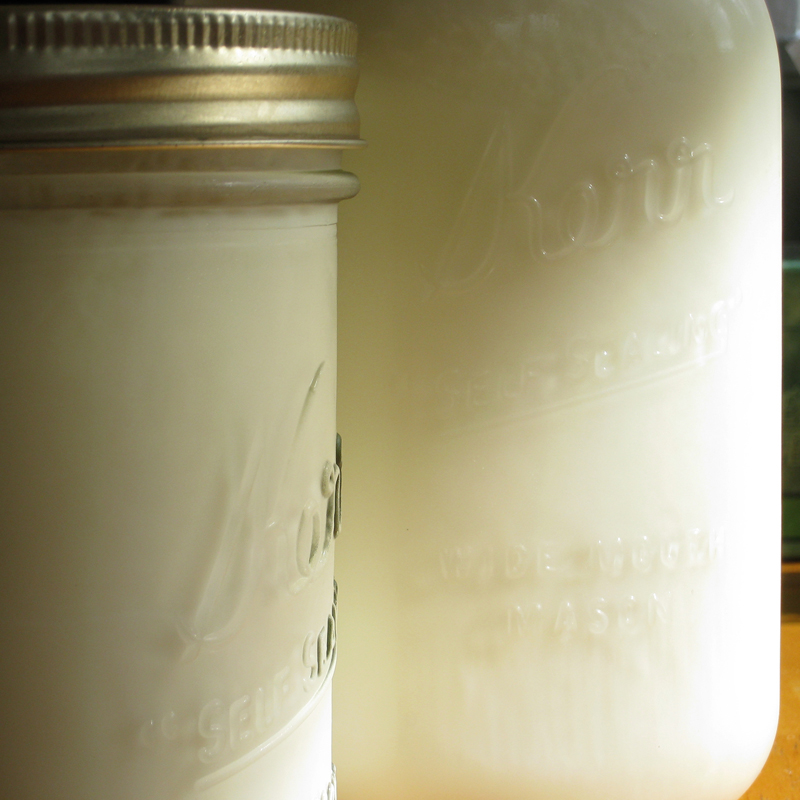 untitled (yogurt)