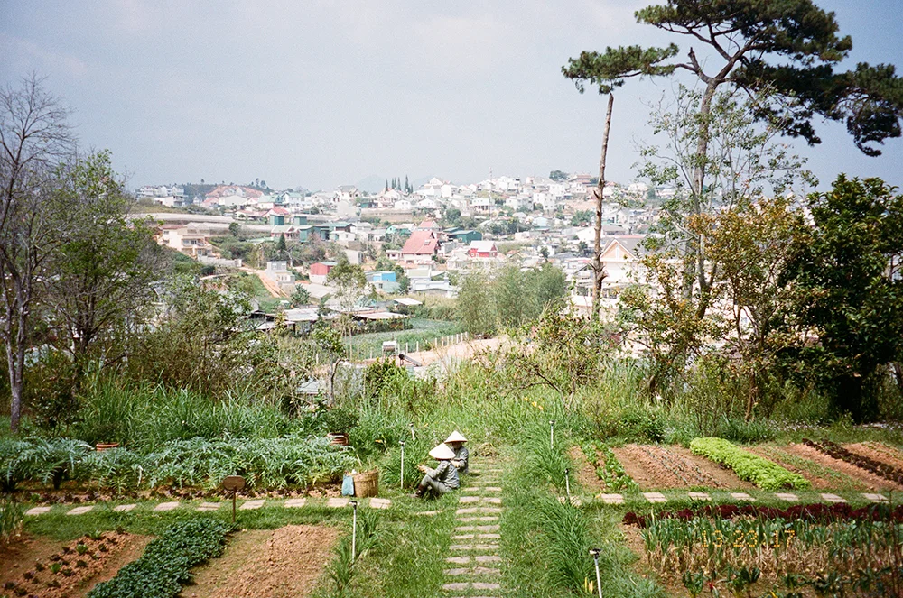 Dalat, Veitnam