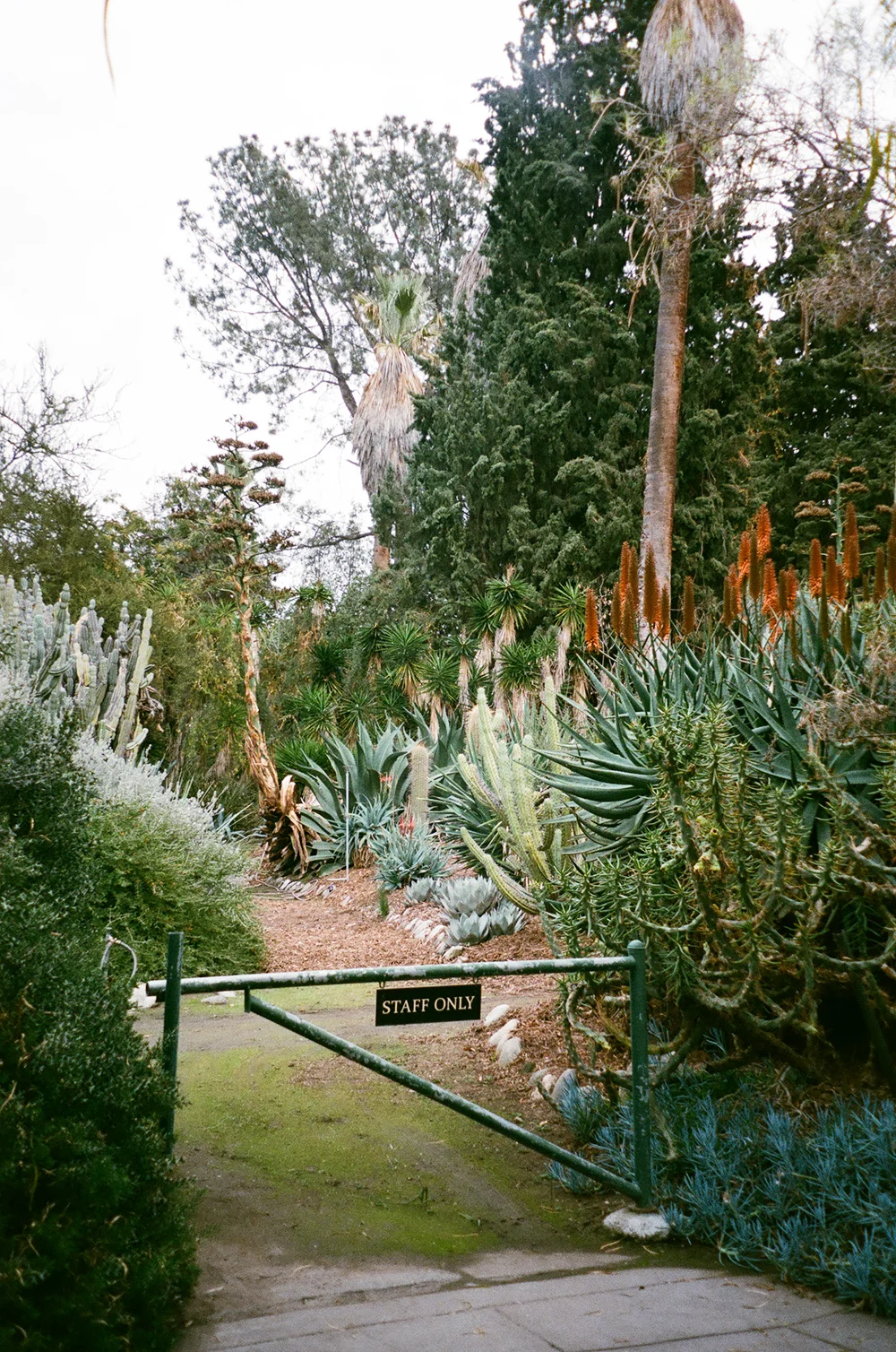 Huntington Library, Pasadena, Ca