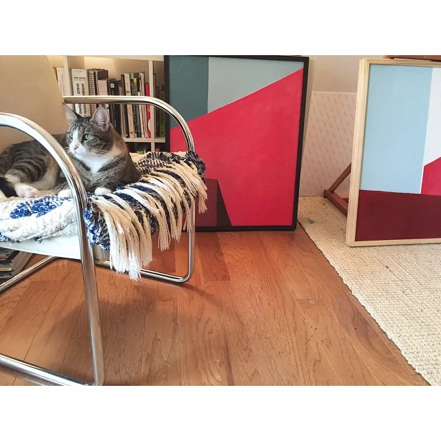 Crosby the cat.