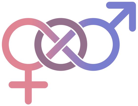 78 - Gender, Bisexuality, and Fairness