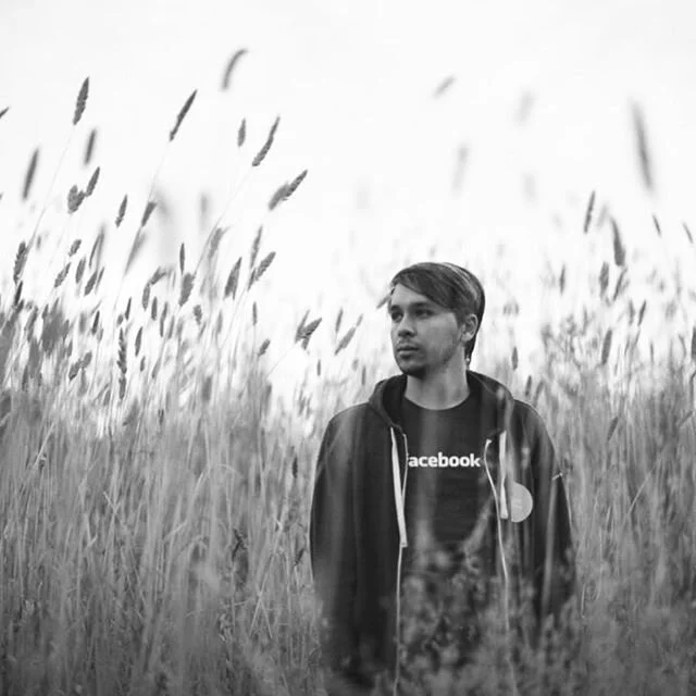 Rolling In the Wheat.jpg