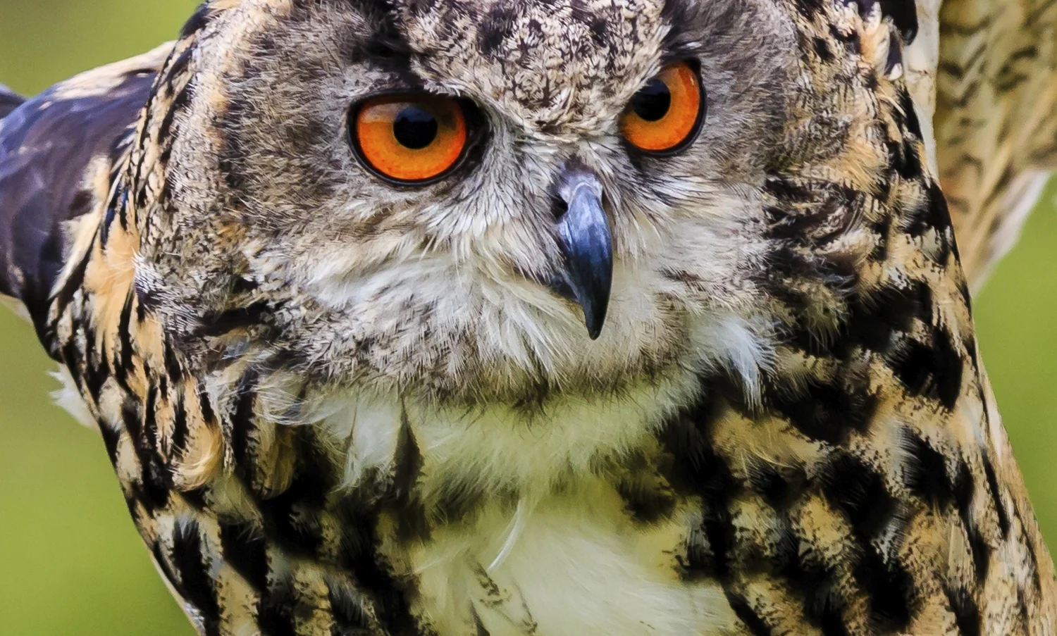 Montgomery County Half Day Schedule Montgomery County Half Day Schedule