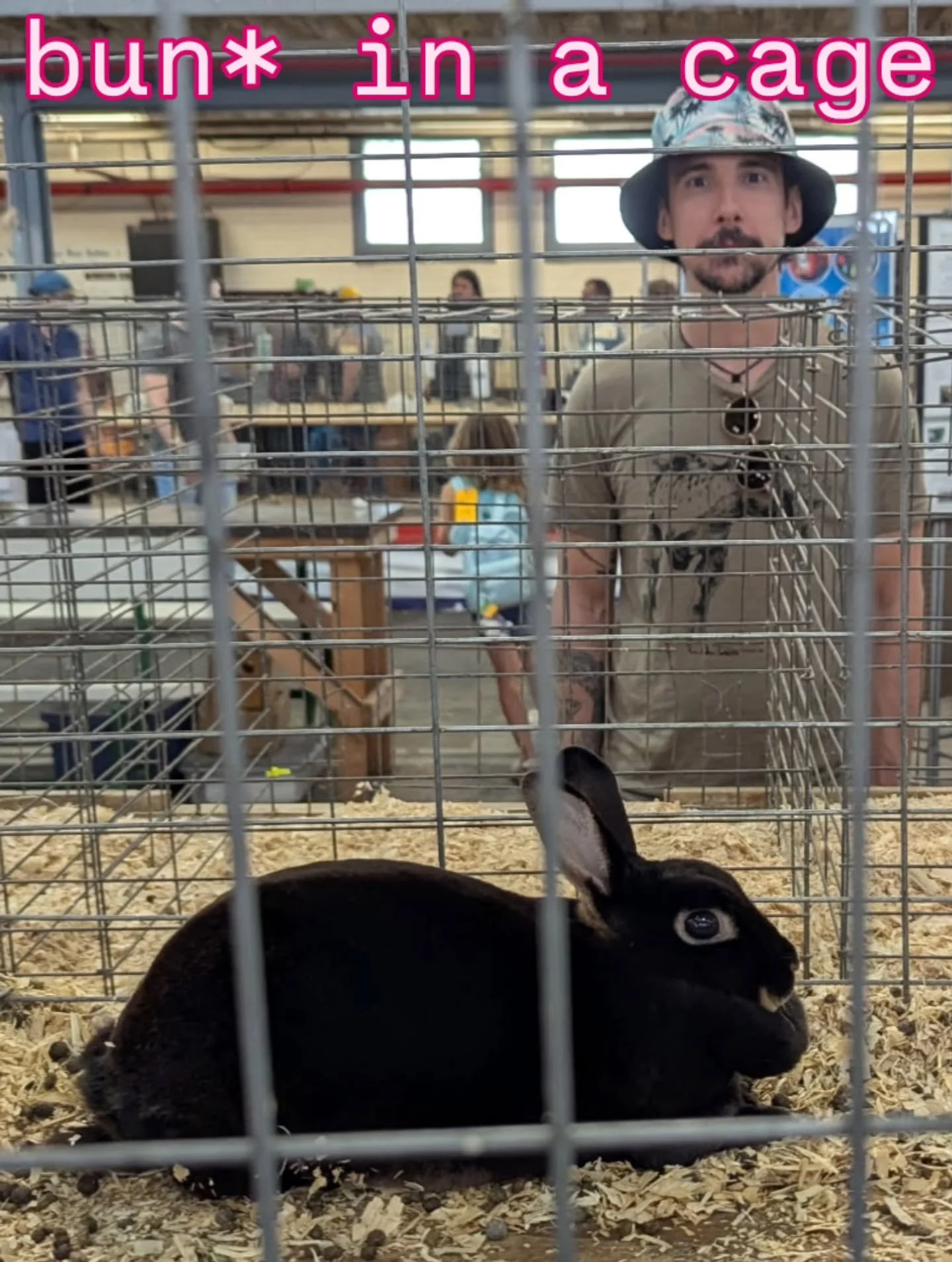 Despite all my rage.

#bun #rabbit #bunny #nysfair #fairgrounds