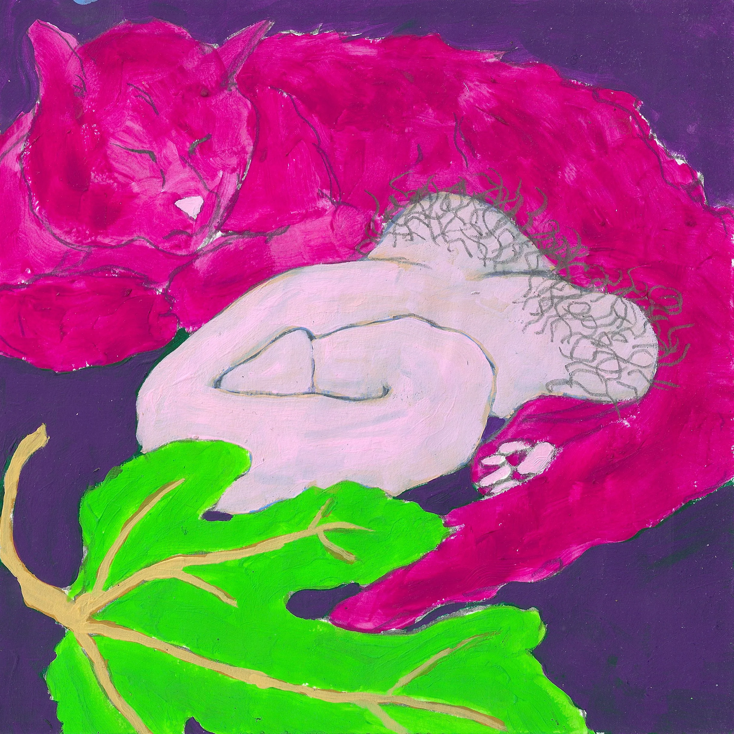 Siesta