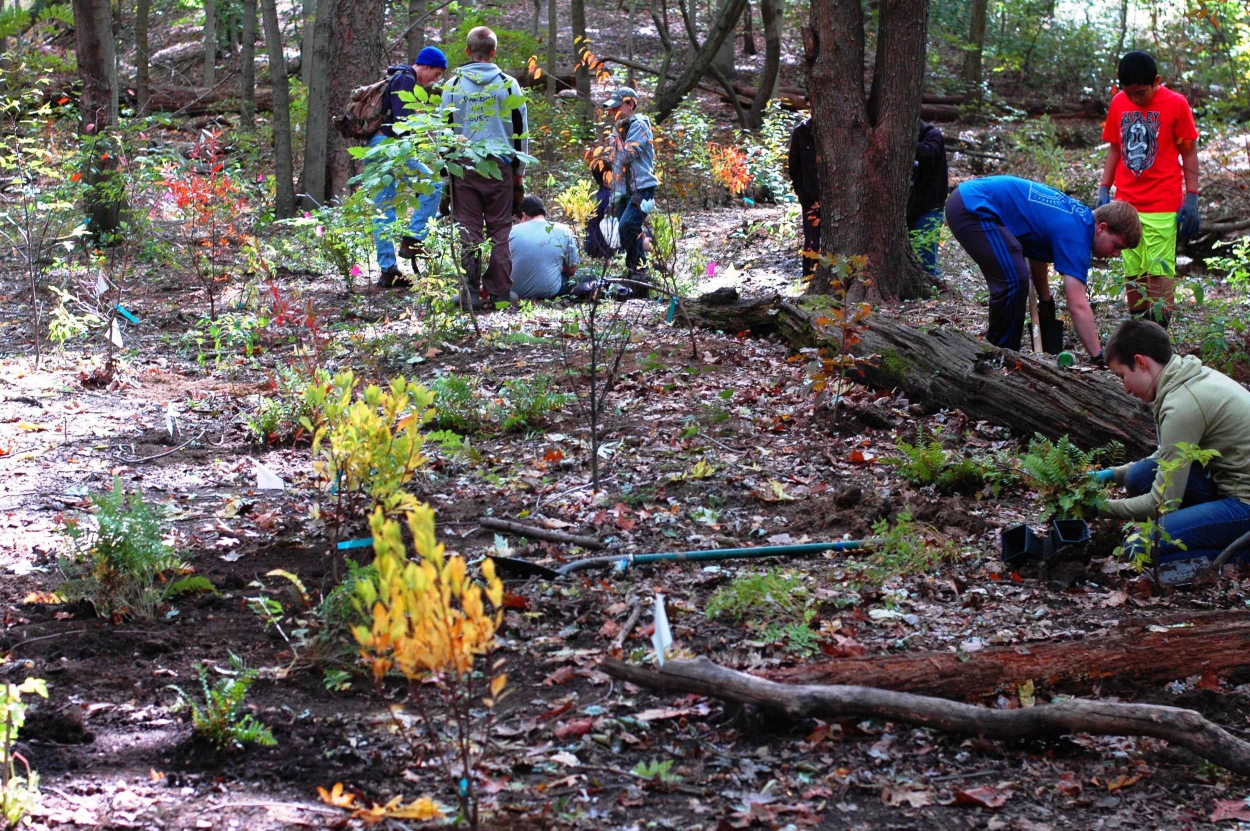 Fall-Stewardship-Day-Stream-Restoration-Planting-2015.jpg