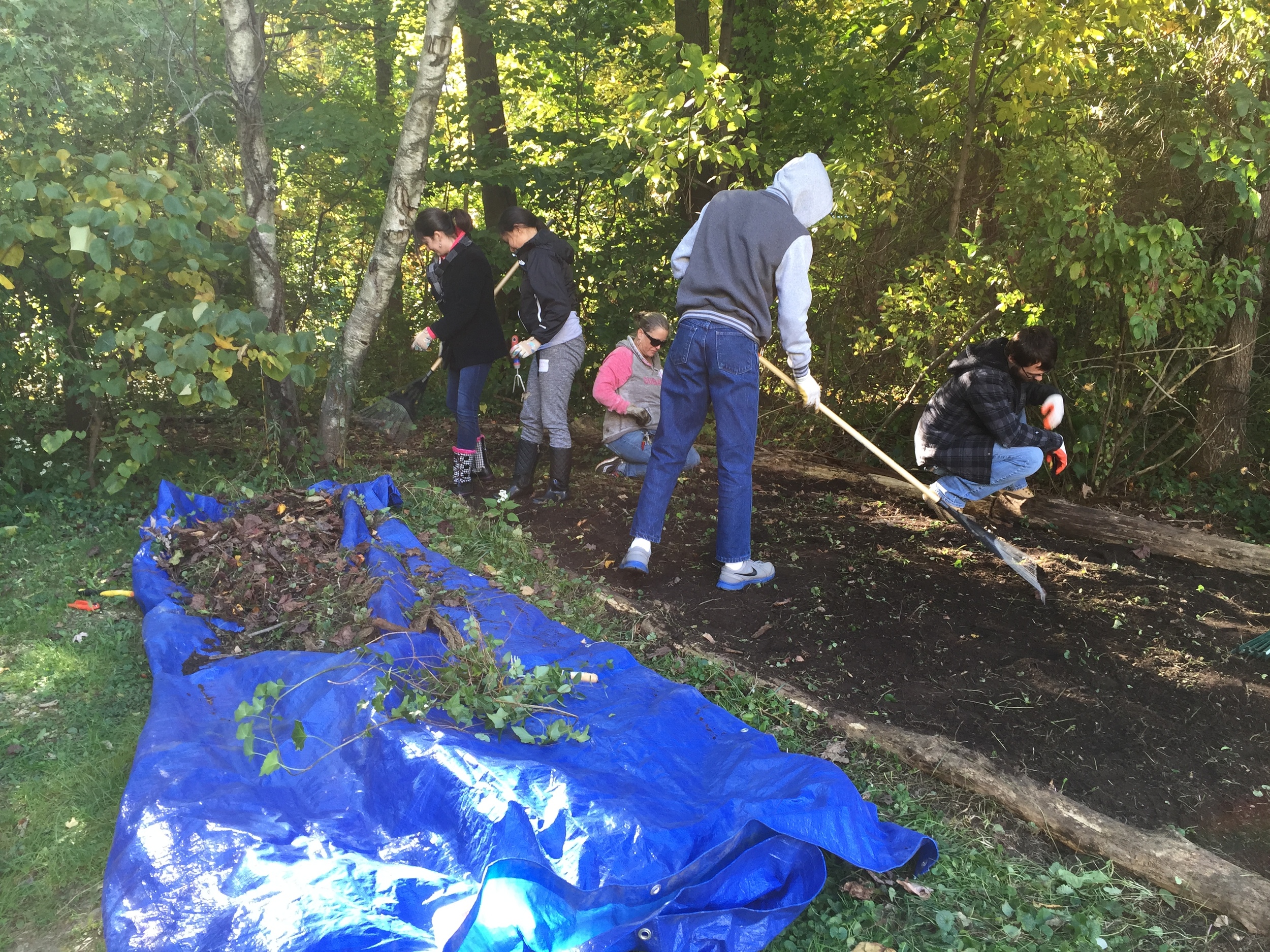 Fall-Stewardship-Day-Trail-Restoration-2015.JPG