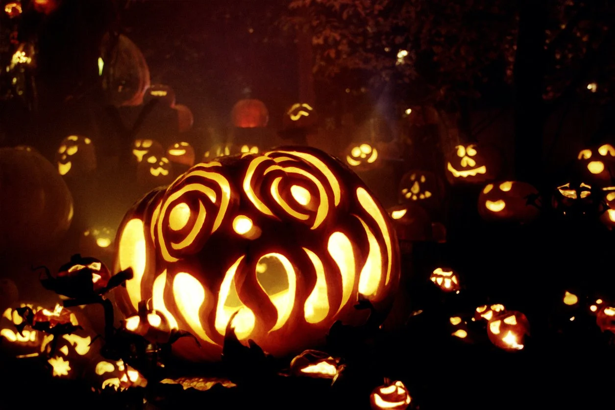 jack o lantern photo stock.jpg